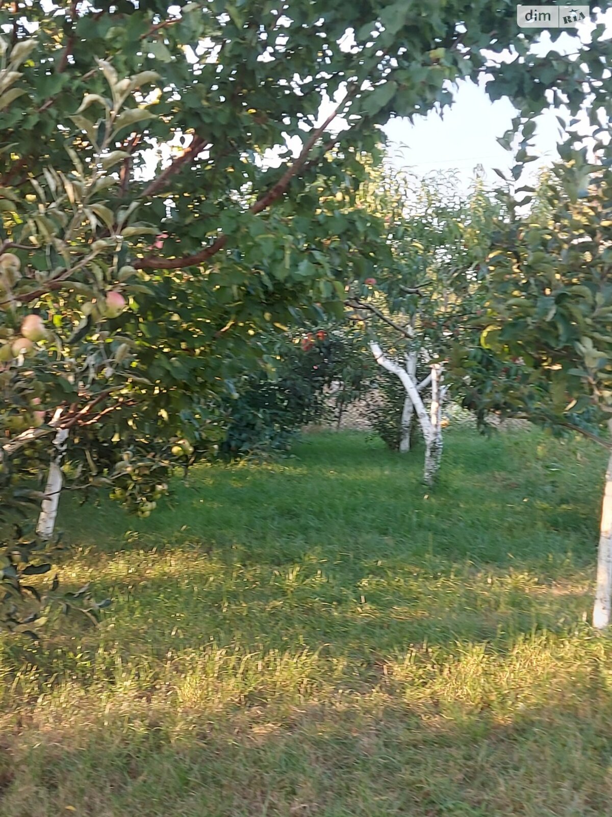 одноэтажный дом с гаражом, 110 кв. м, ракушечник (ракушняк). Продажа в Литине район Литин фото 1