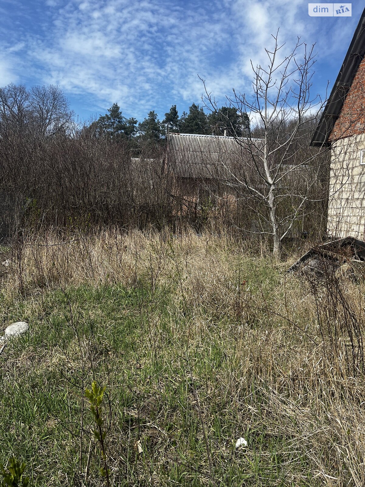 одноэтажный дом, 26 кв. м, ракушечник (ракушняк). Продажа в Литине район Рыбачье фото 1 одноэтажный дом, 26 кв. м, ракушечник (ракушняк). Продажа в Литине район Рыбачье фото 1