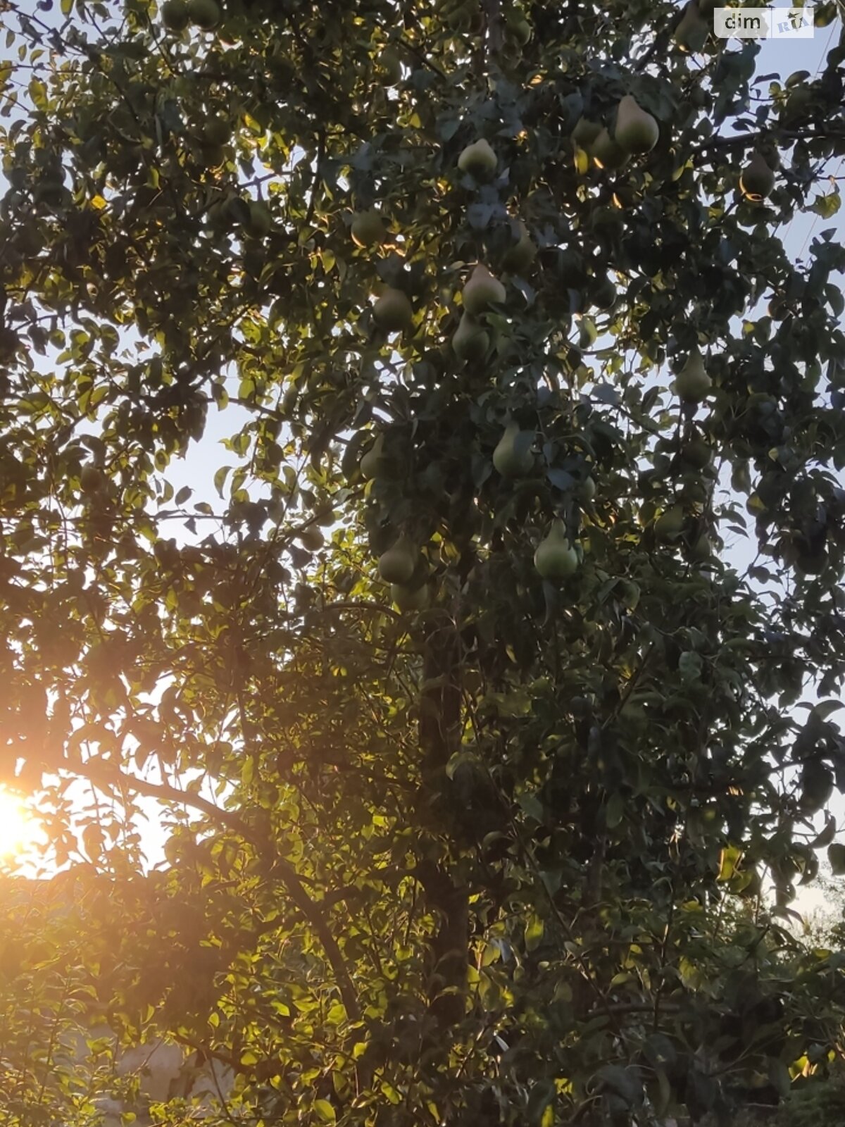 одноповерховий будинок з меблями, 69.6 кв. м, глинобитный. Продаж у Літках фото 1 одноповерховий будинок з меблями, 69.6 кв. м, глинобитный. Продаж у Літках фото 1