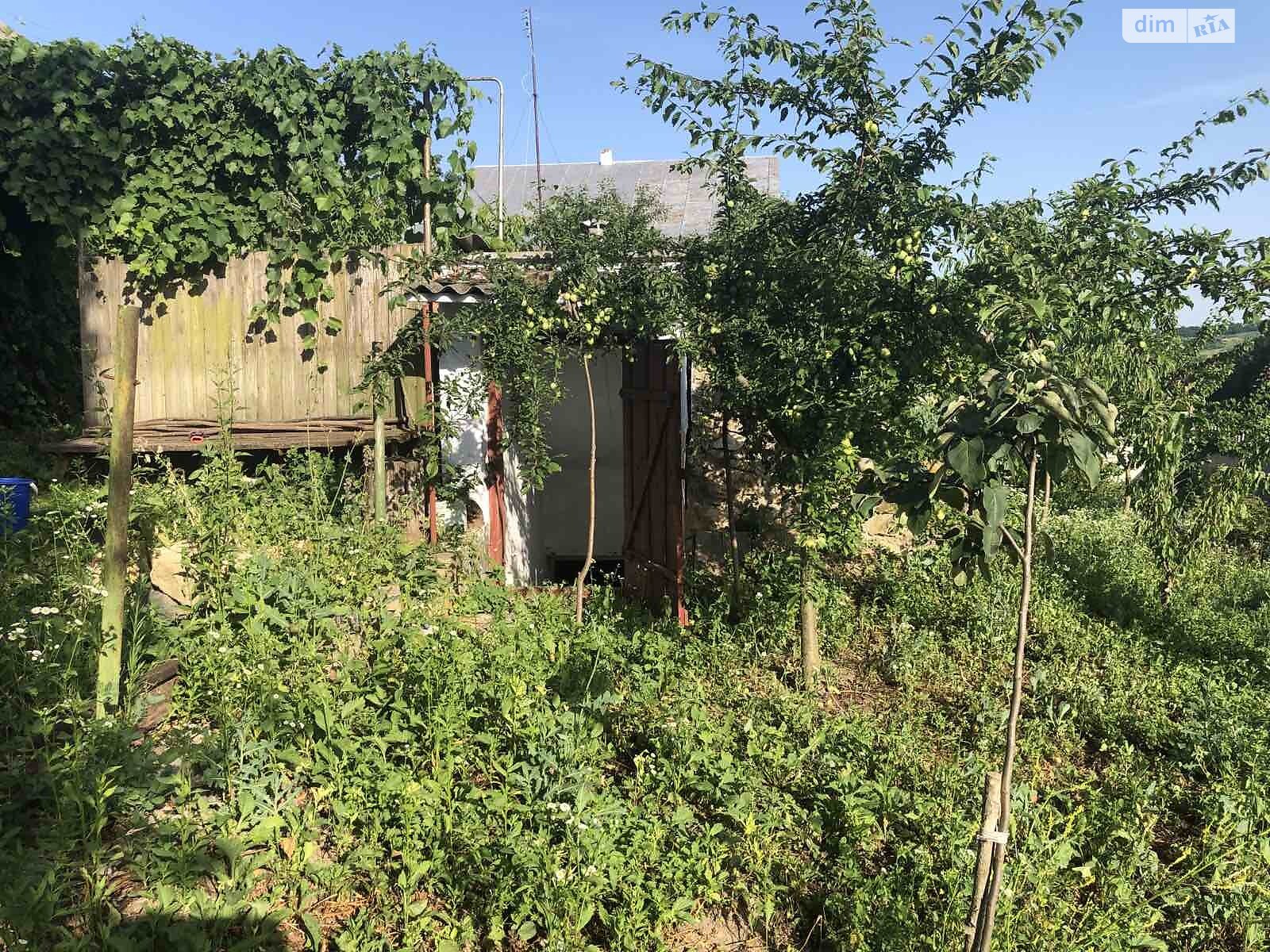 одноповерховий будинок з верандою, 53.1 кв. м, цегла. Продаж у Літках фото 1 одноповерховий будинок з верандою, 53.1 кв. м, цегла. Продаж у Літках фото 1