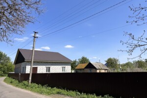 одноповерховий будинок, 100 кв. м, цегла. Продаж у Лохвиці фото 2 одноповерховий будинок, 100 кв. м, цегла. Продаж у Лохвиці фото 2