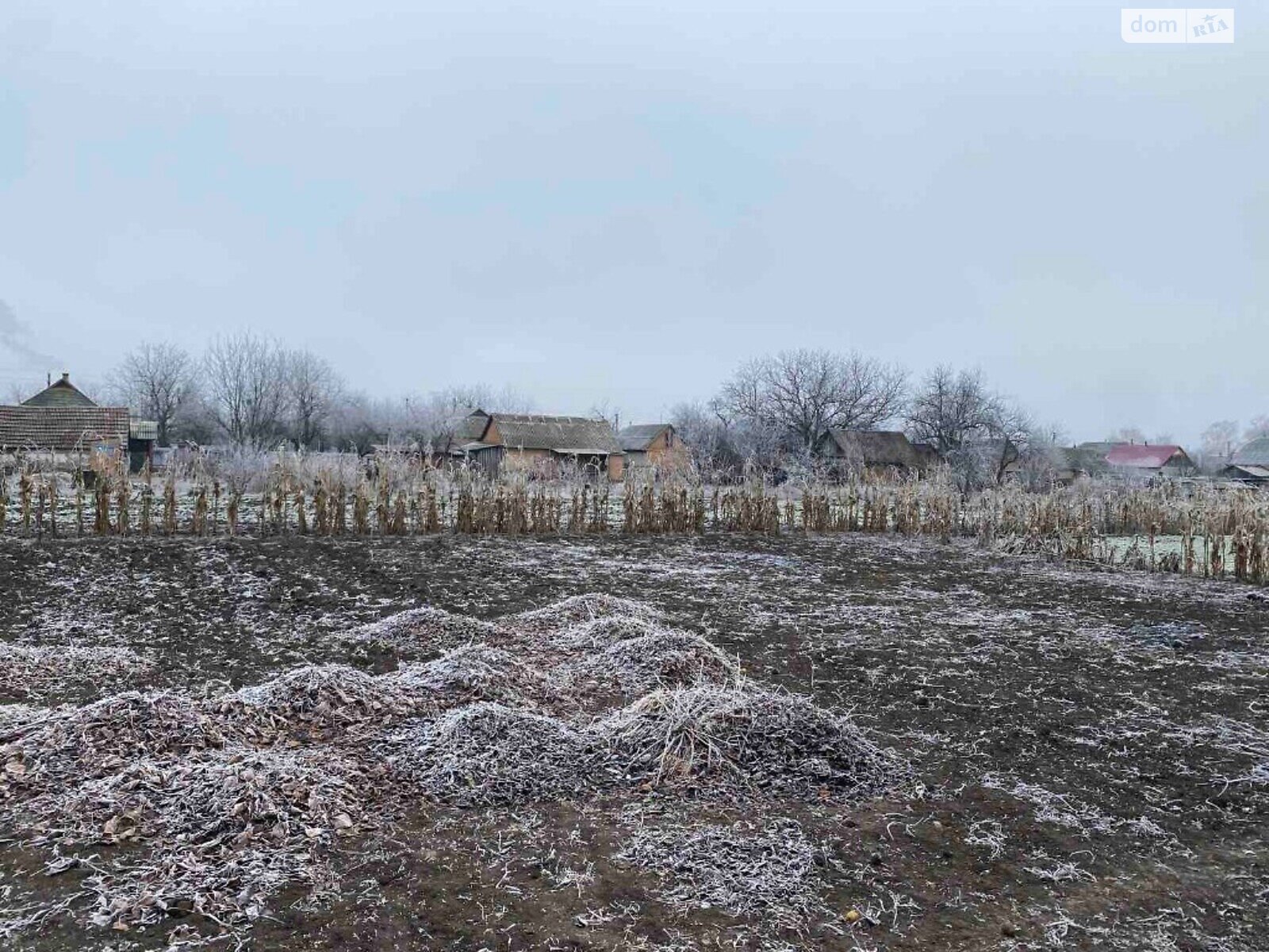 одноповерховий будинок без меблів, 1500 кв. м, цегла. Продаж у Криниці фото 1