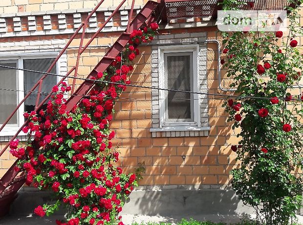 двухэтажный дом с садом, 130.4 кв. м, кирпич. Продажа в Лохвице район Лохвица фото 1 двухэтажный дом с садом, 130.4 кв. м, кирпич. Продажа в Лохвице район Лохвица фото 1