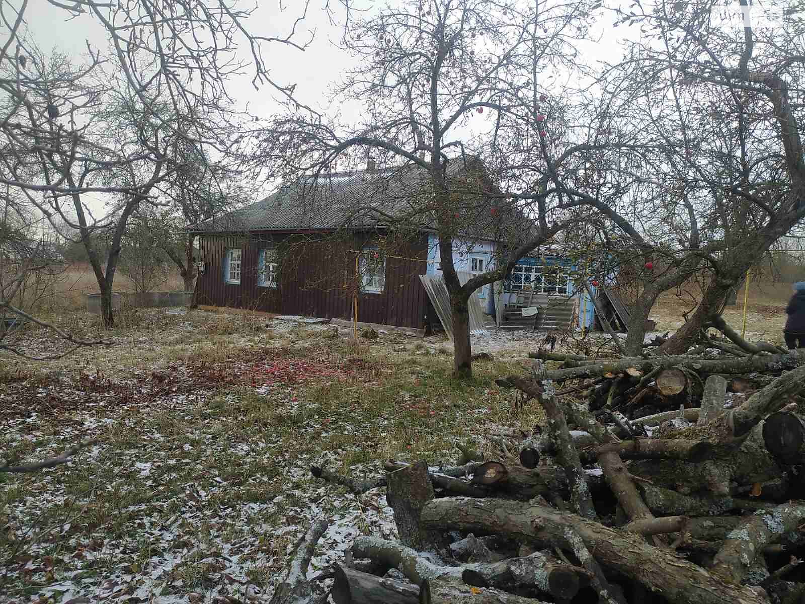 одноповерховий будинок з гаражем, 60.3 кв. м, цегла. Продаж у Лопатинцях фото 1 одноповерховий будинок з гаражем, 60.3 кв. м, цегла. Продаж у Лопатинцях фото 1