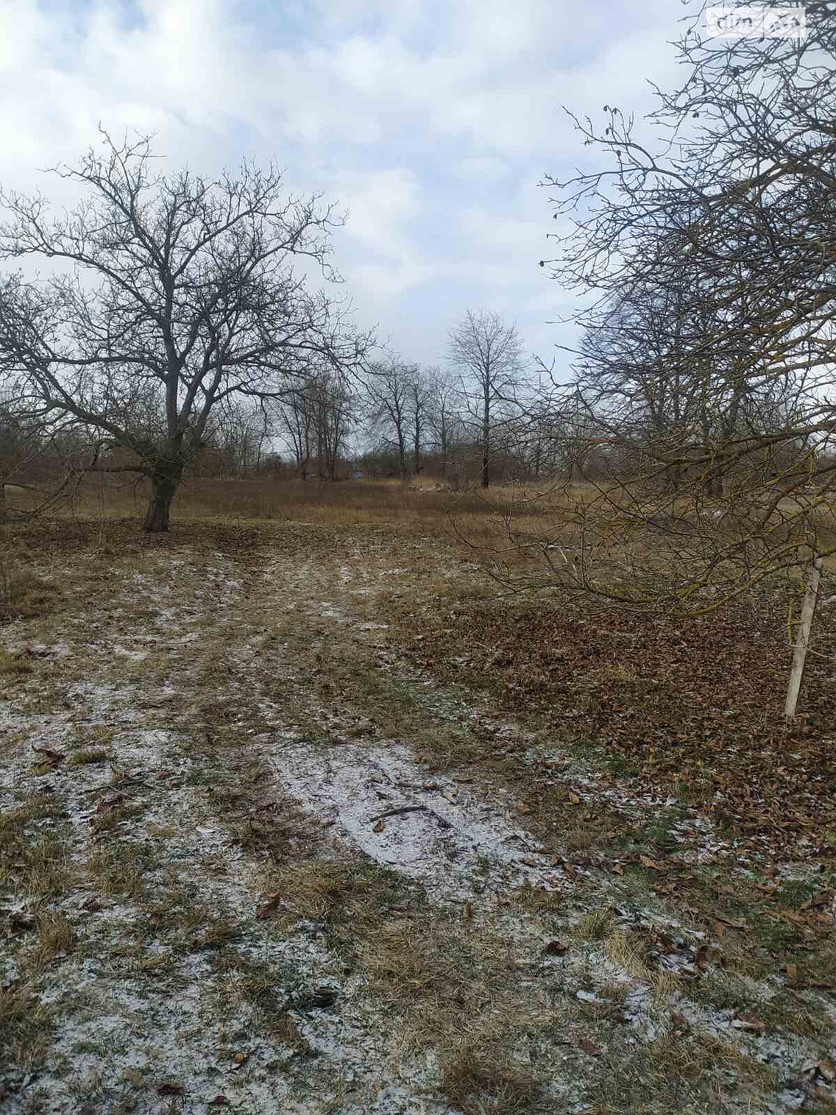 одноповерховий будинок з гаражем, 60.3 кв. м, цегла. Продаж у Лопатинцях фото 1 одноповерховий будинок з гаражем, 60.3 кв. м, цегла. Продаж у Лопатинцях фото 1