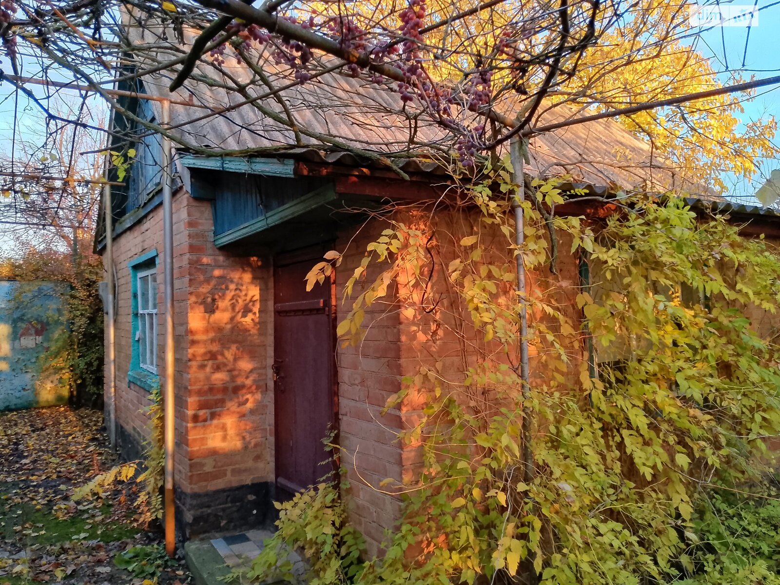 одноповерховий будинок з верандою, 140 кв. м, цегла. Продаж у Лозуватці фото 1 одноповерховий будинок з верандою, 140 кв. м, цегла. Продаж у Лозуватці фото 1