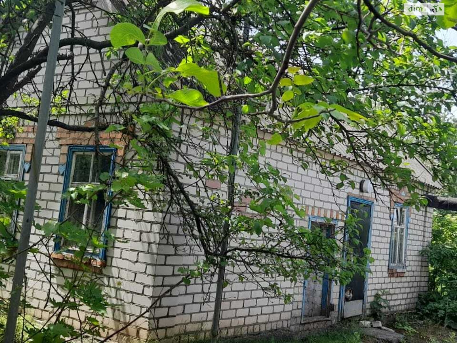 одноповерховий будинок, 60 кв. м, цегла. Продаж у Лозуватці фото 1