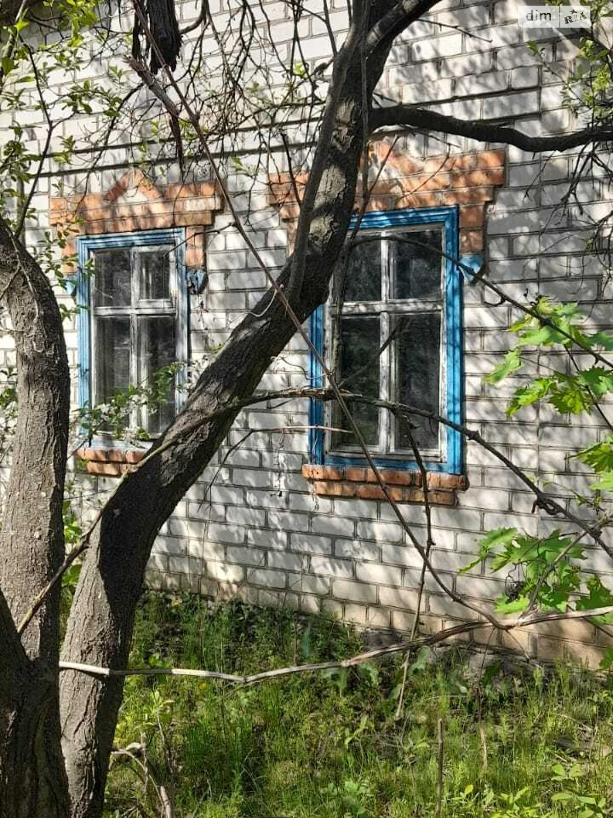 одноповерховий будинок, 60 кв. м, цегла. Продаж у Лозуватці фото 1