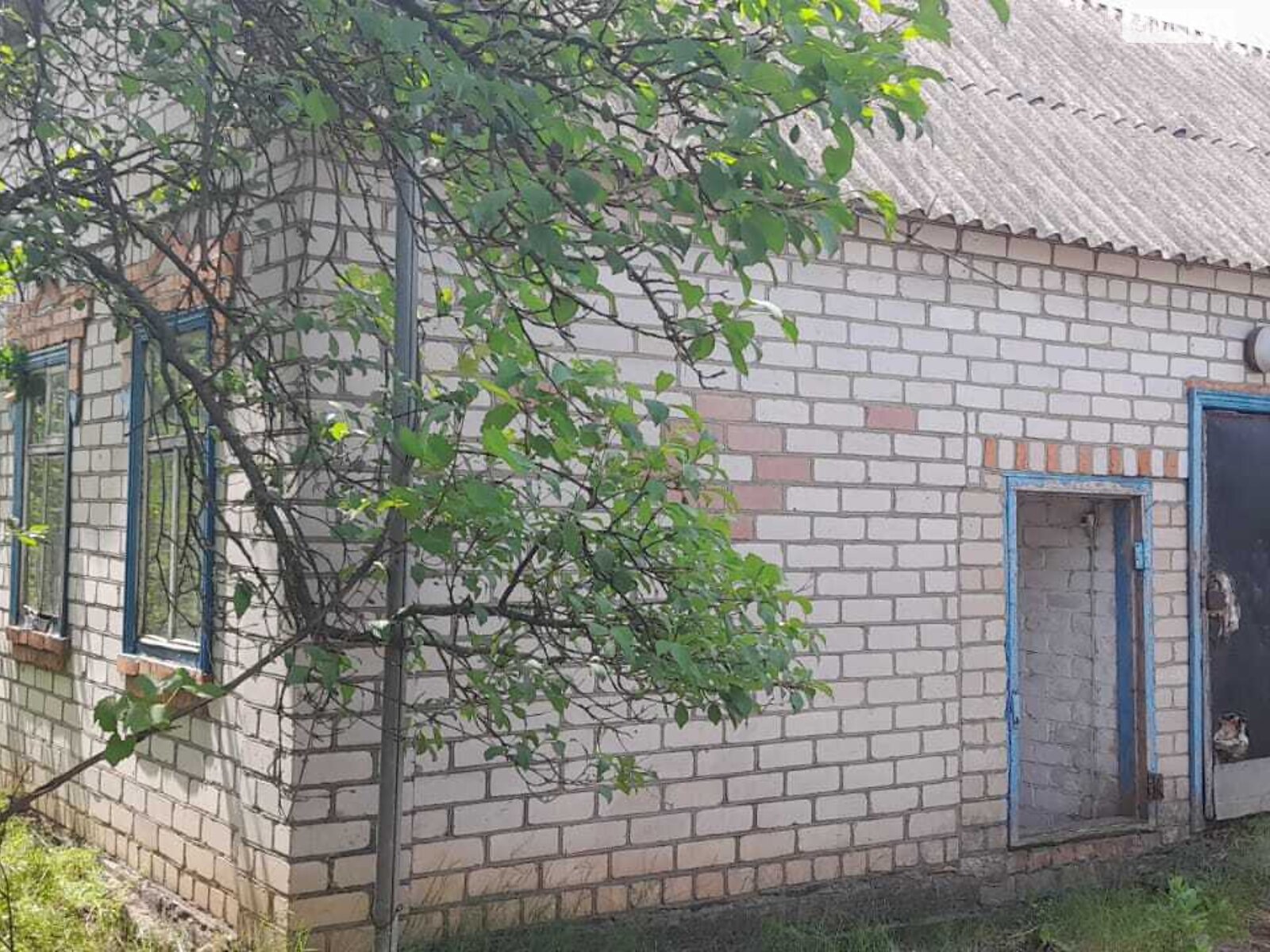 одноповерховий будинок, 60 кв. м, цегла. Продаж у Лозуватці фото 1