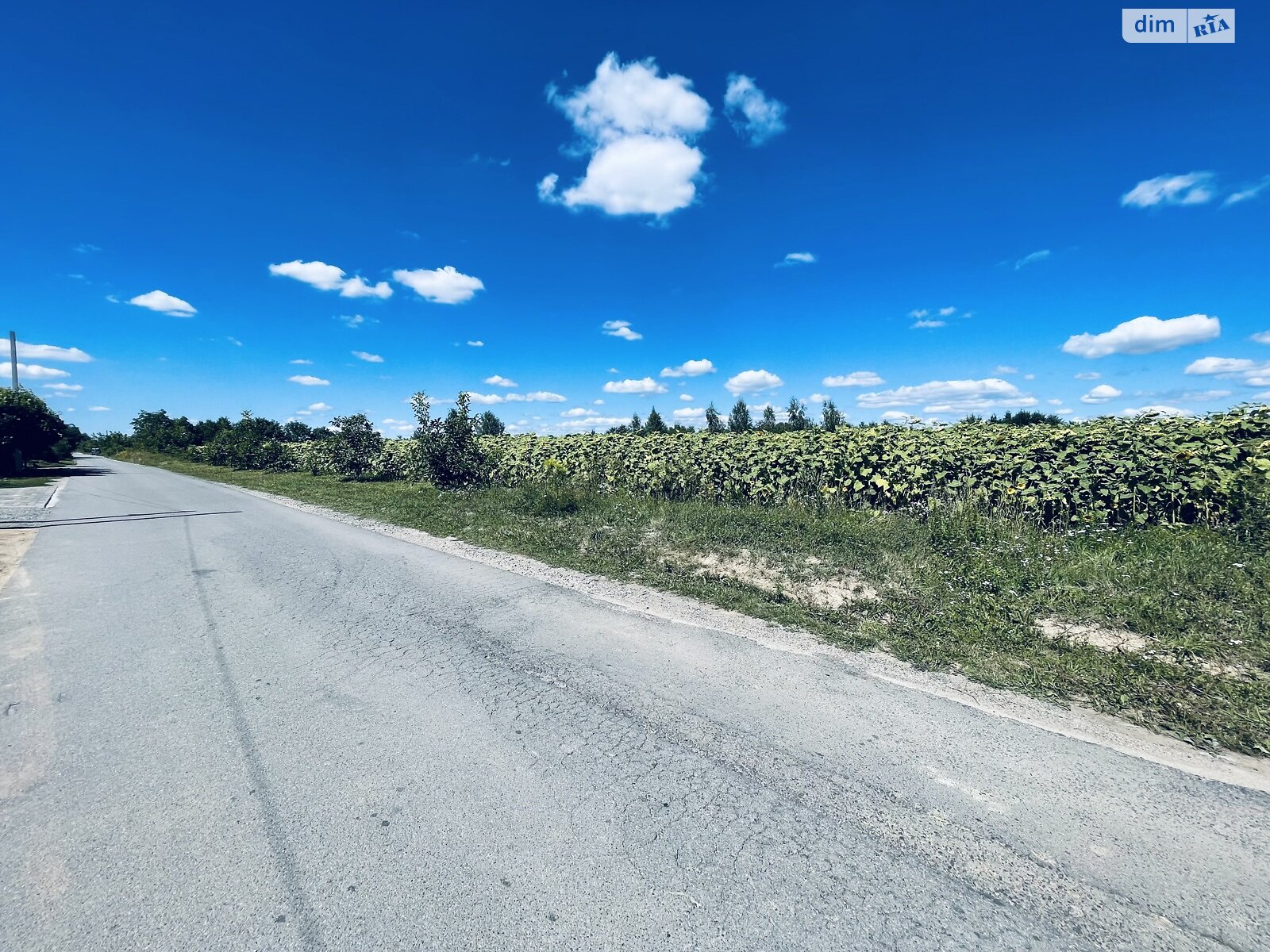 одноповерховий будинок, 95 кв. м, цегла. Продаж у Луці-Мелешківській фото 1 одноповерховий будинок, 95 кв. м, цегла. Продаж у Луці-Мелешківській фото 1