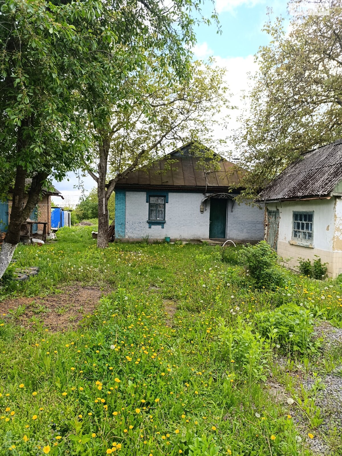 одноповерховий будинок, 60 кв. м, глинобитний. Продаж у Луці-Мелешківській фото 1 одноповерховий будинок, 60 кв. м, глинобитний. Продаж у Луці-Мелешківській фото 1