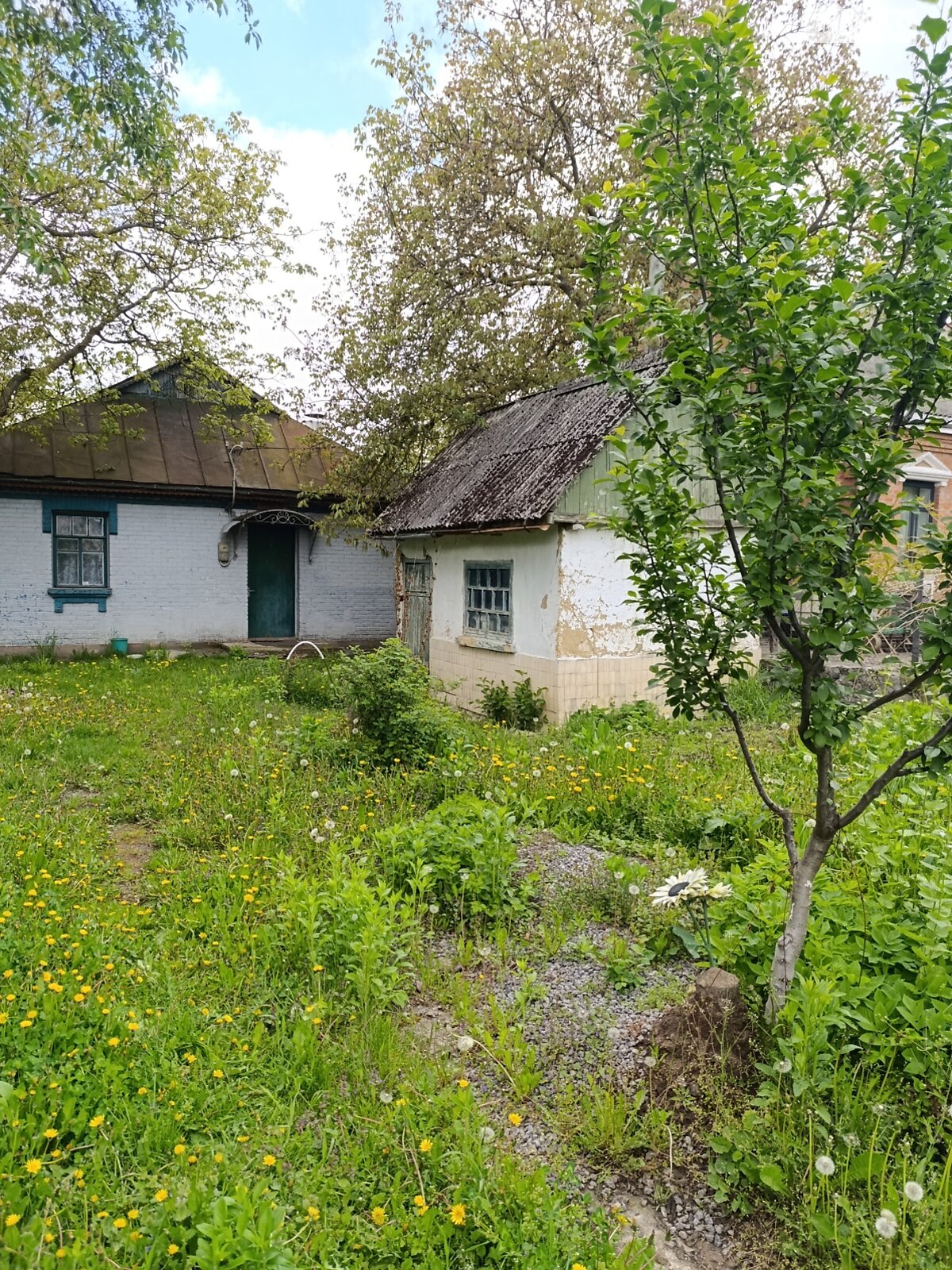 одноповерховий будинок, 60 кв. м, глинобитний. Продаж у Луці-Мелешківській фото 1 одноповерховий будинок, 60 кв. м, глинобитний. Продаж у Луці-Мелешківській фото 1