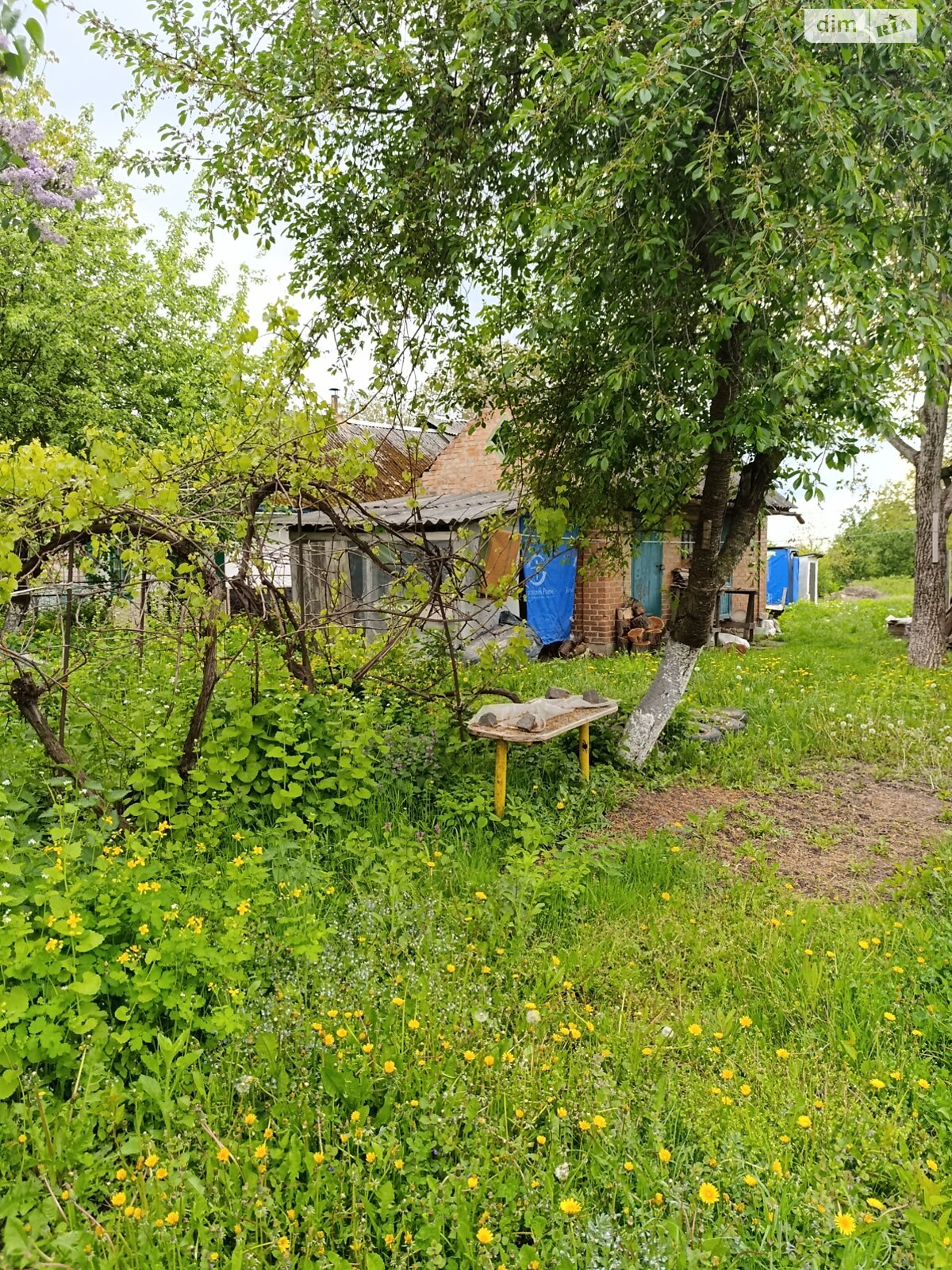 одноповерховий будинок, 60 кв. м, глинобитний. Продаж у Луці-Мелешківській фото 1 одноповерховий будинок, 60 кв. м, глинобитний. Продаж у Луці-Мелешківській фото 1