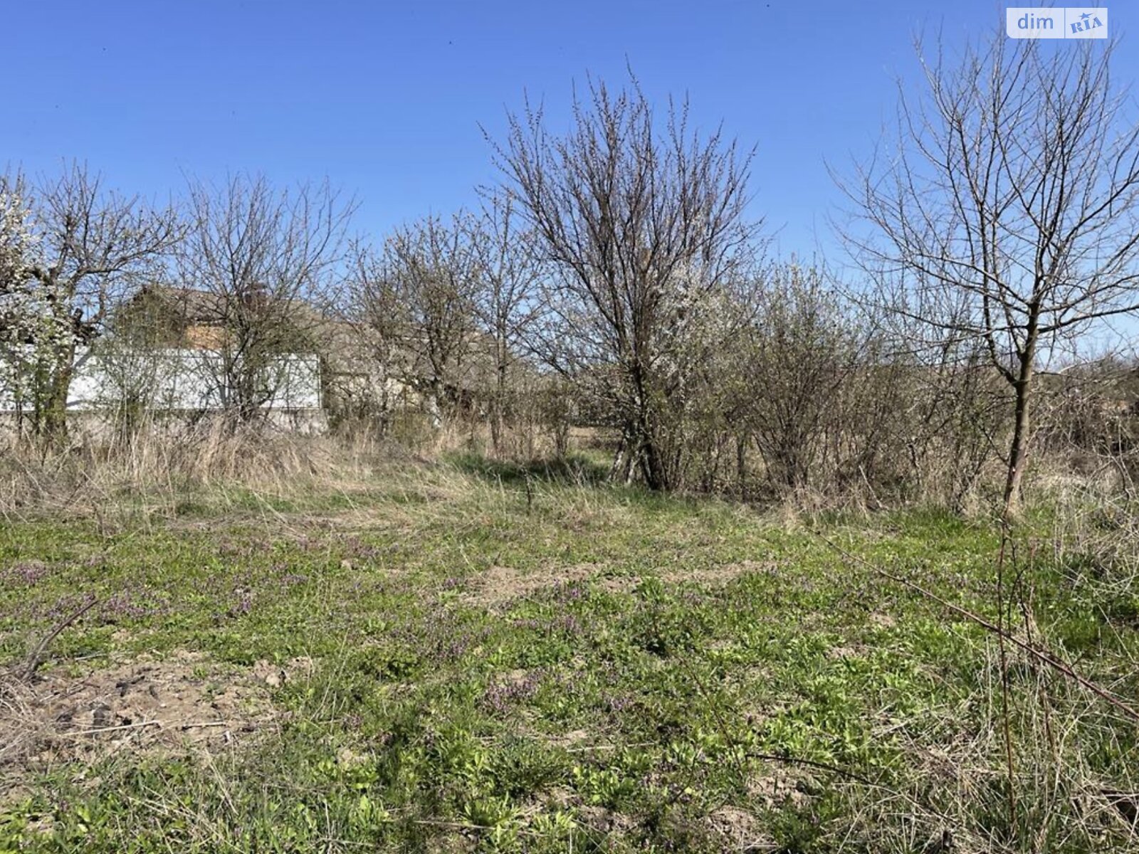 одноэтажный дом с гаражом, 95 кв. м, кирпич. Продажа в Луке-Мелешковской фото 1 одноэтажный дом с гаражом, 95 кв. м, кирпич. Продажа в Луке-Мелешковской фото 1