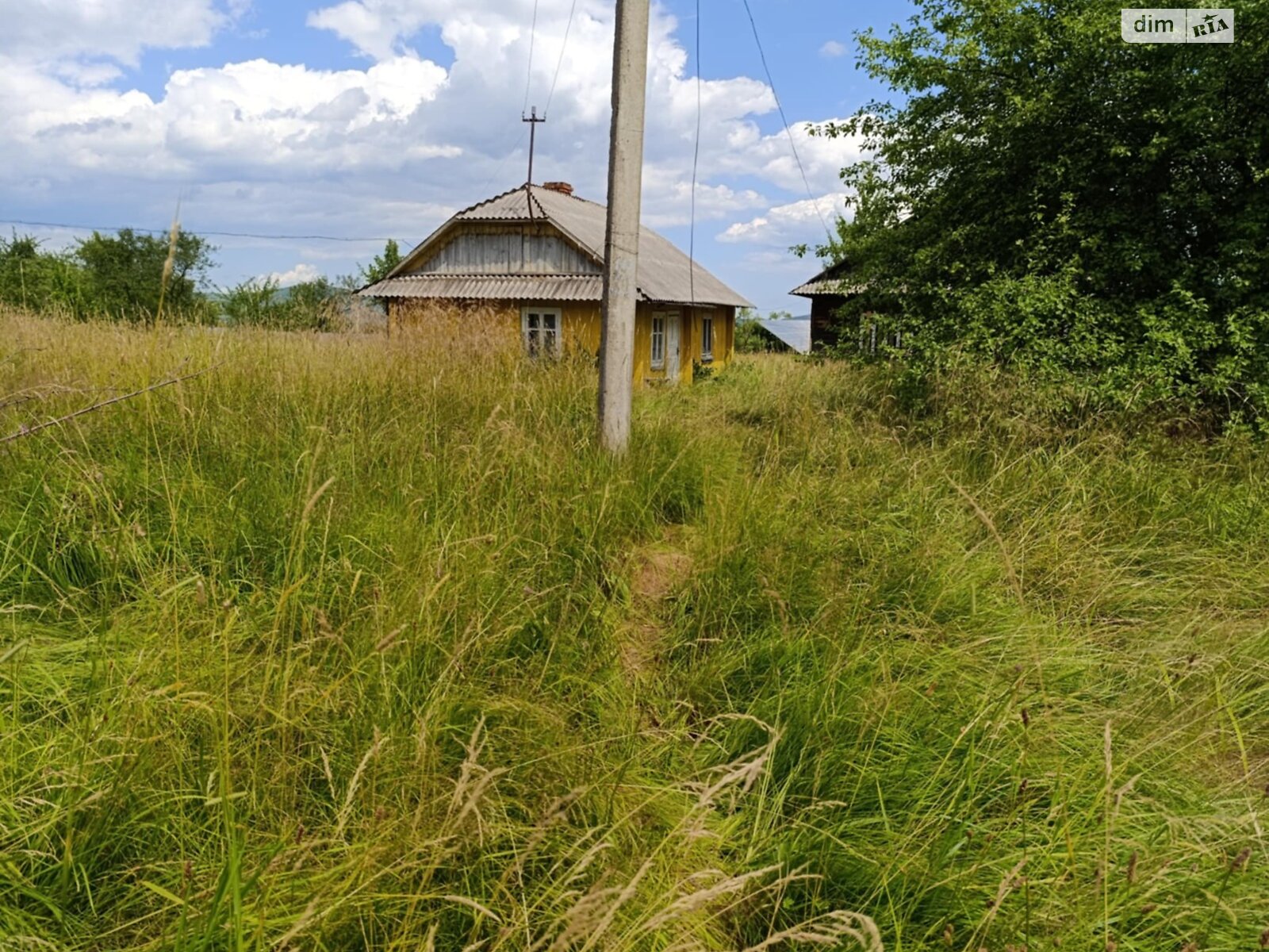 одноповерховий будинок, 115.9 кв. м, зруб. Продаж у Луквиці фото 1 одноповерховий будинок, 115.9 кв. м, зруб. Продаж у Луквиці фото 1