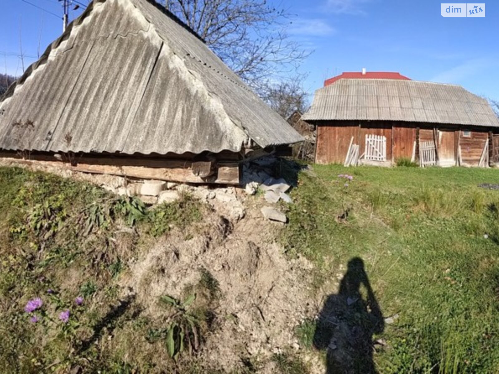 одноповерховий будинок, 115.9 кв. м, зруб. Продаж у Луквиці фото 1 одноповерховий будинок, 115.9 кв. м, зруб. Продаж у Луквиці фото 1