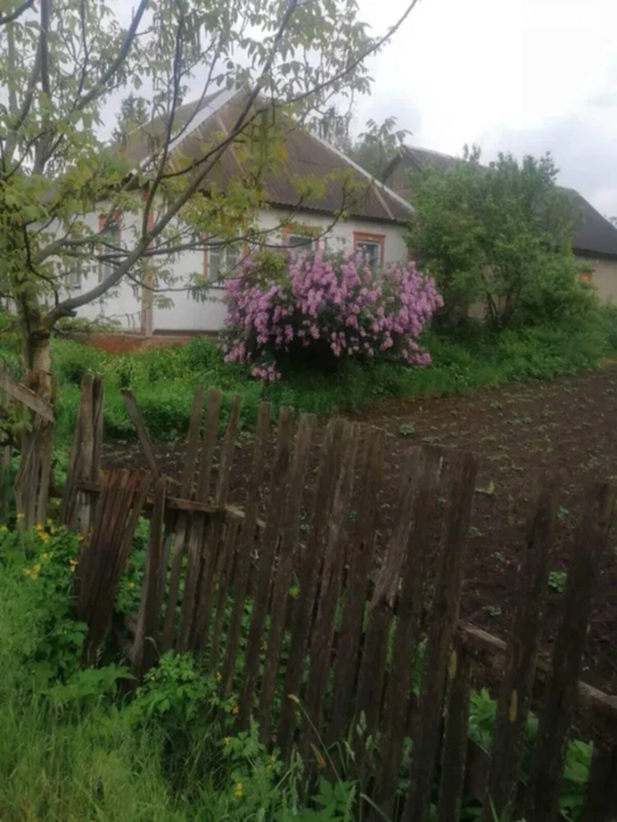 одноэтажный дом с гаражом, 70 кв. м, кирпич. Продажа в Лутовке фото 1 одноэтажный дом с гаражом, 70 кв. м, кирпич. Продажа в Лутовке фото 1