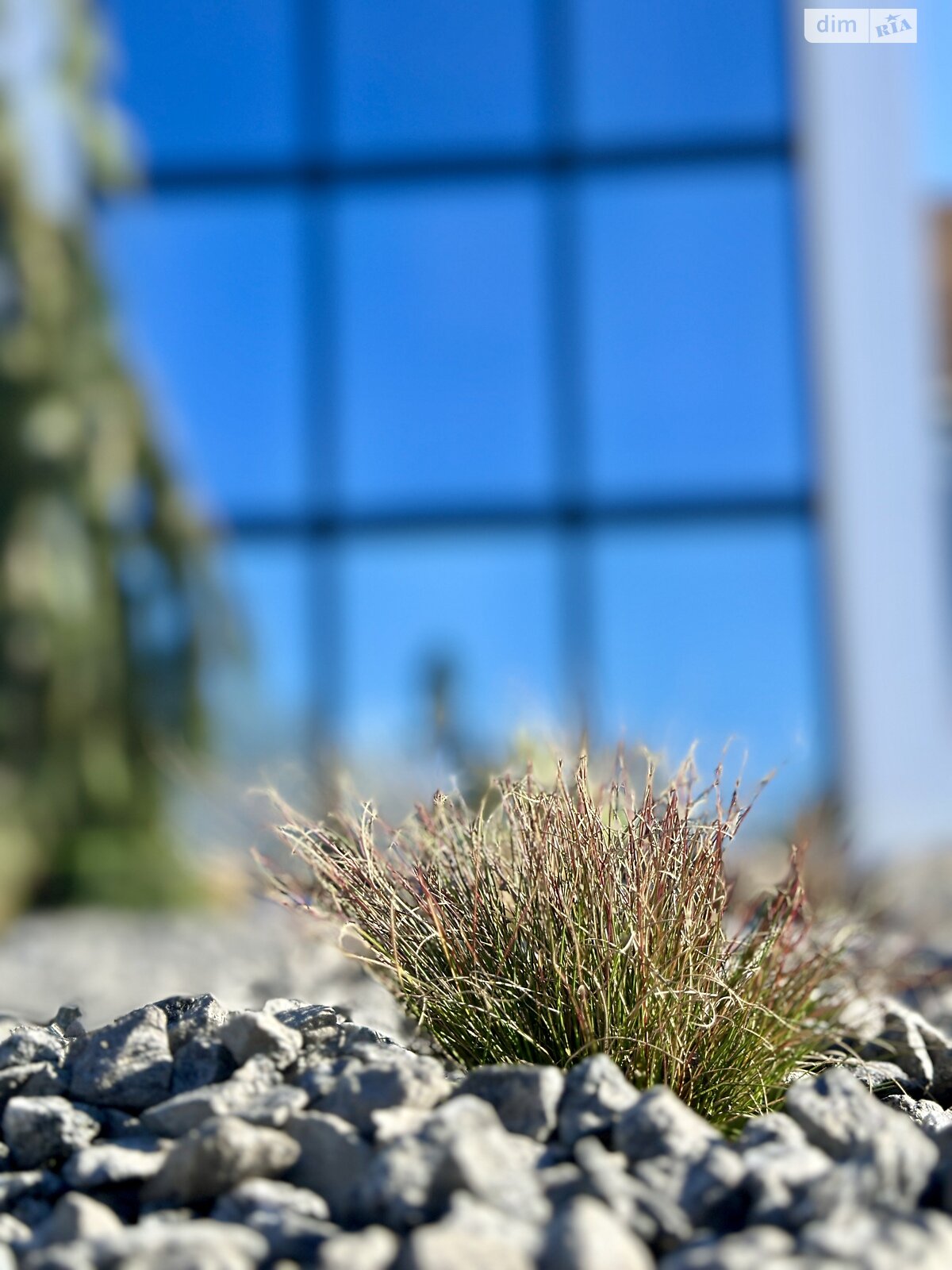 двоповерховий будинок з опаленням, 280 кв. м, цегла. Продаж у Луцьку фото 1