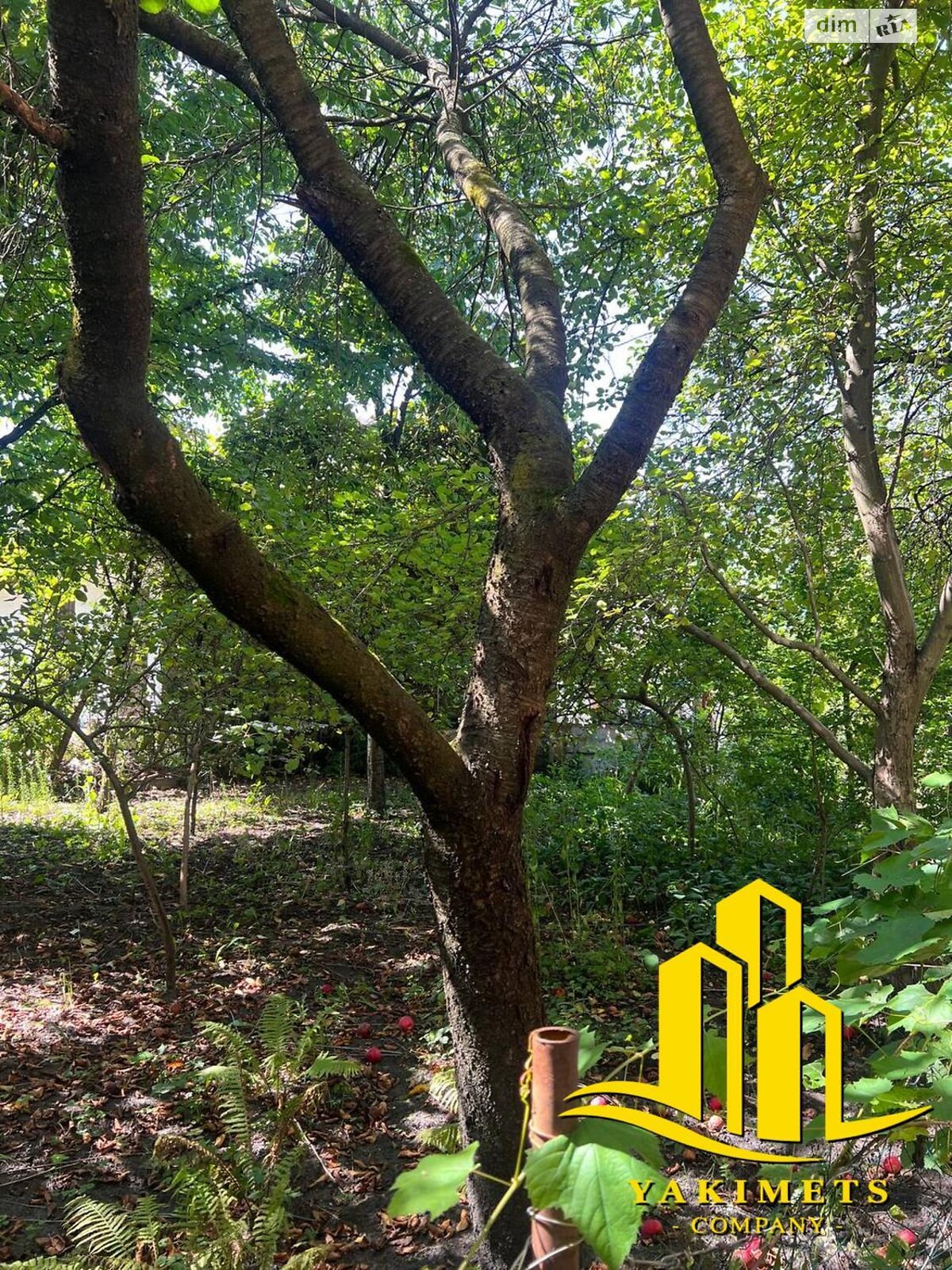 трехэтажный дом беседка, 460 кв. м, кирпич. Продажа в Львове район Белогорща фото 1