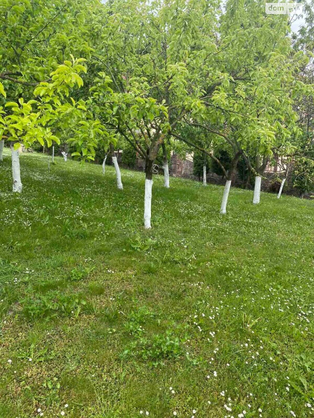 триповерховий будинок з верандою, 365 кв. м, цегла. Продаж в Львові, район Шевченківський фото 1 триповерховий будинок з верандою, 365 кв. м, цегла. Продаж в Львові, район Шевченківський фото 1