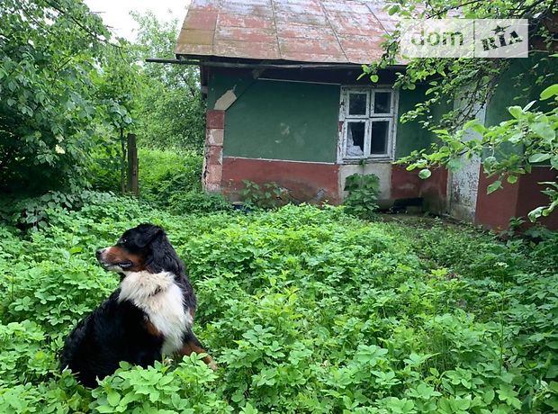 одноэтажный дом с садом, 43 кв. м, кирпич. Продажа в Львове район Шевченковский фото 1 одноэтажный дом с садом, 43 кв. м, кирпич. Продажа в Львове район Шевченковский фото 1
