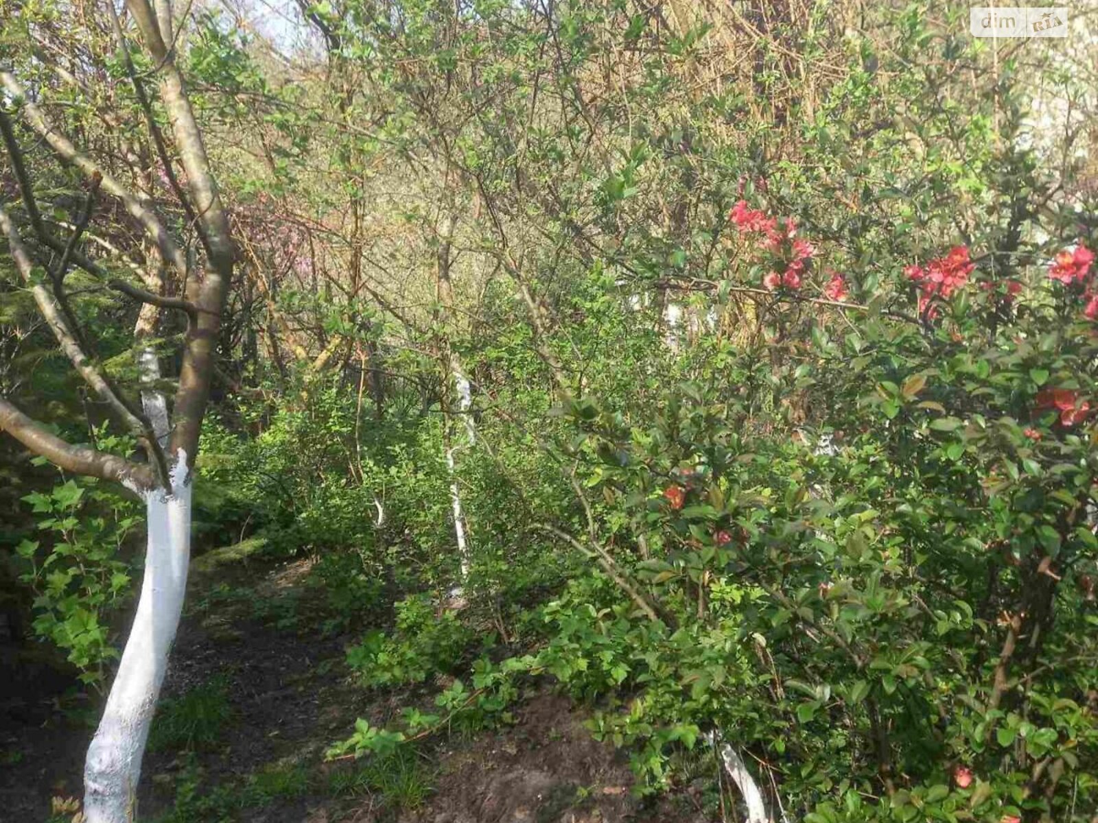 двухэтажный дом с гаражом, 130.4 кв. м, кирпич. Продажа в Львове район Центр фото 1 двухэтажный дом с гаражом, 130.4 кв. м, кирпич. Продажа в Львове район Центр фото 1