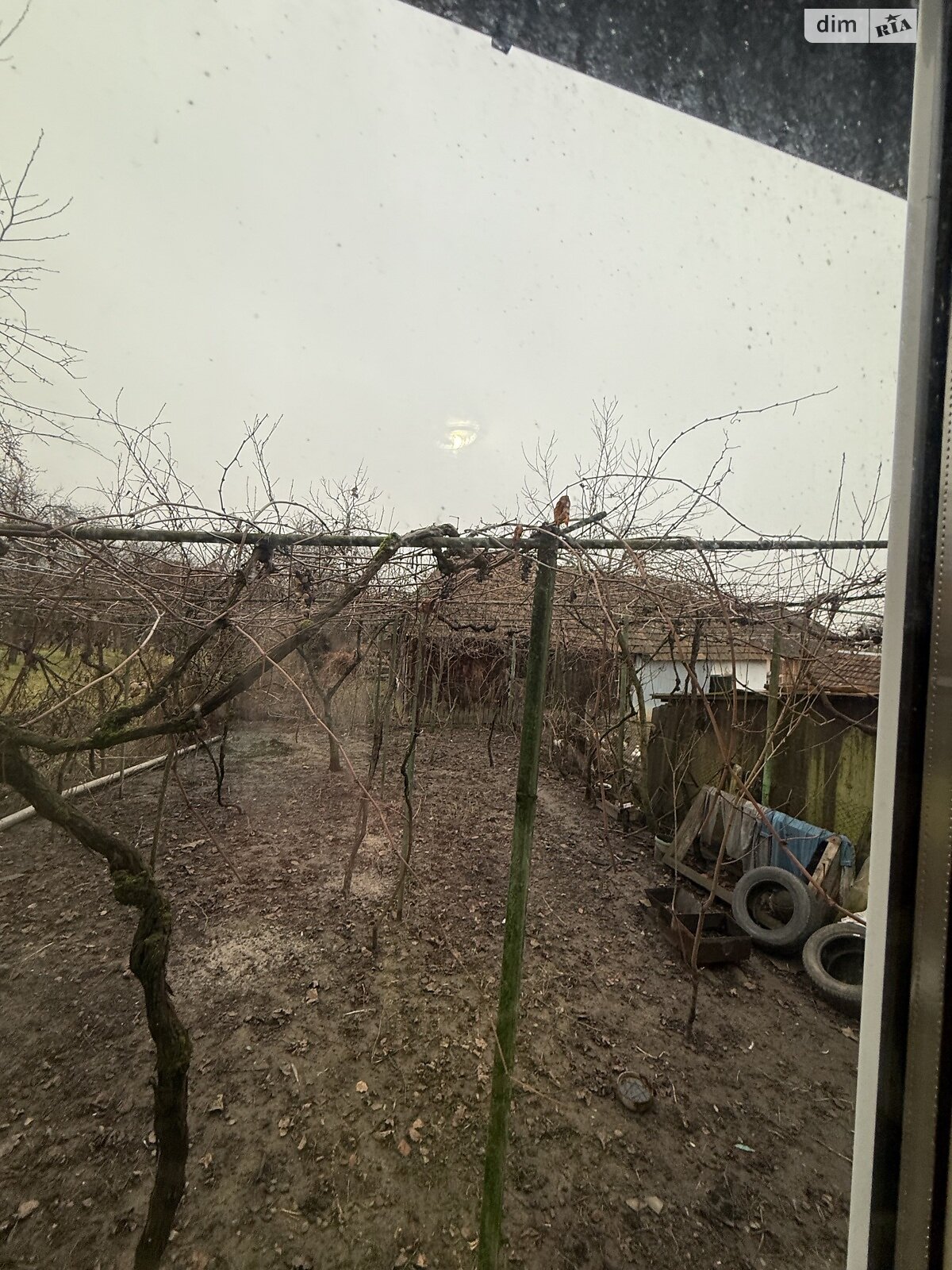 одноповерховий будинок, 87 кв. м, цегла. Продаж у Ляхівці фото 1 одноповерховий будинок, 87 кв. м, цегла. Продаж у Ляхівці фото 1