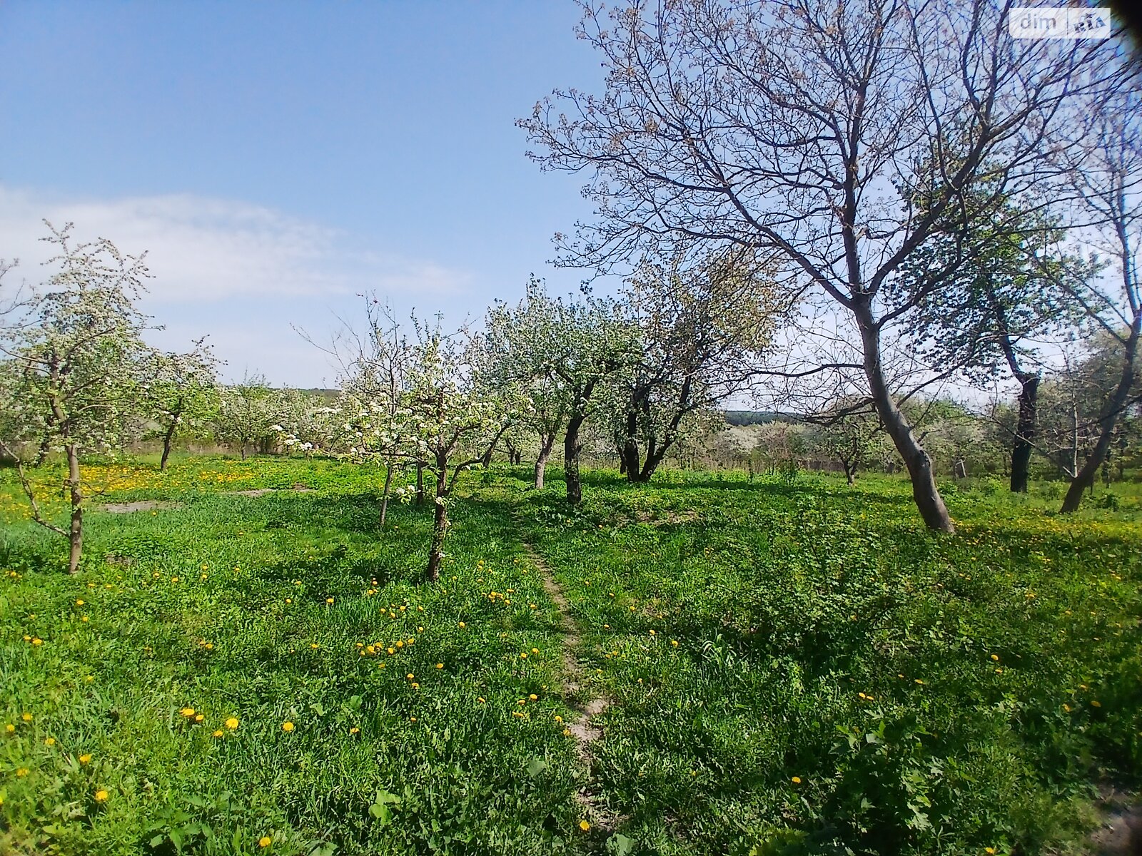 одноэтажный дом с ремонтом, 150 кв. м, кирпич. Продажа в Лысогоре фото 1 одноэтажный дом с ремонтом, 150 кв. м, кирпич. Продажа в Лысогоре фото 1