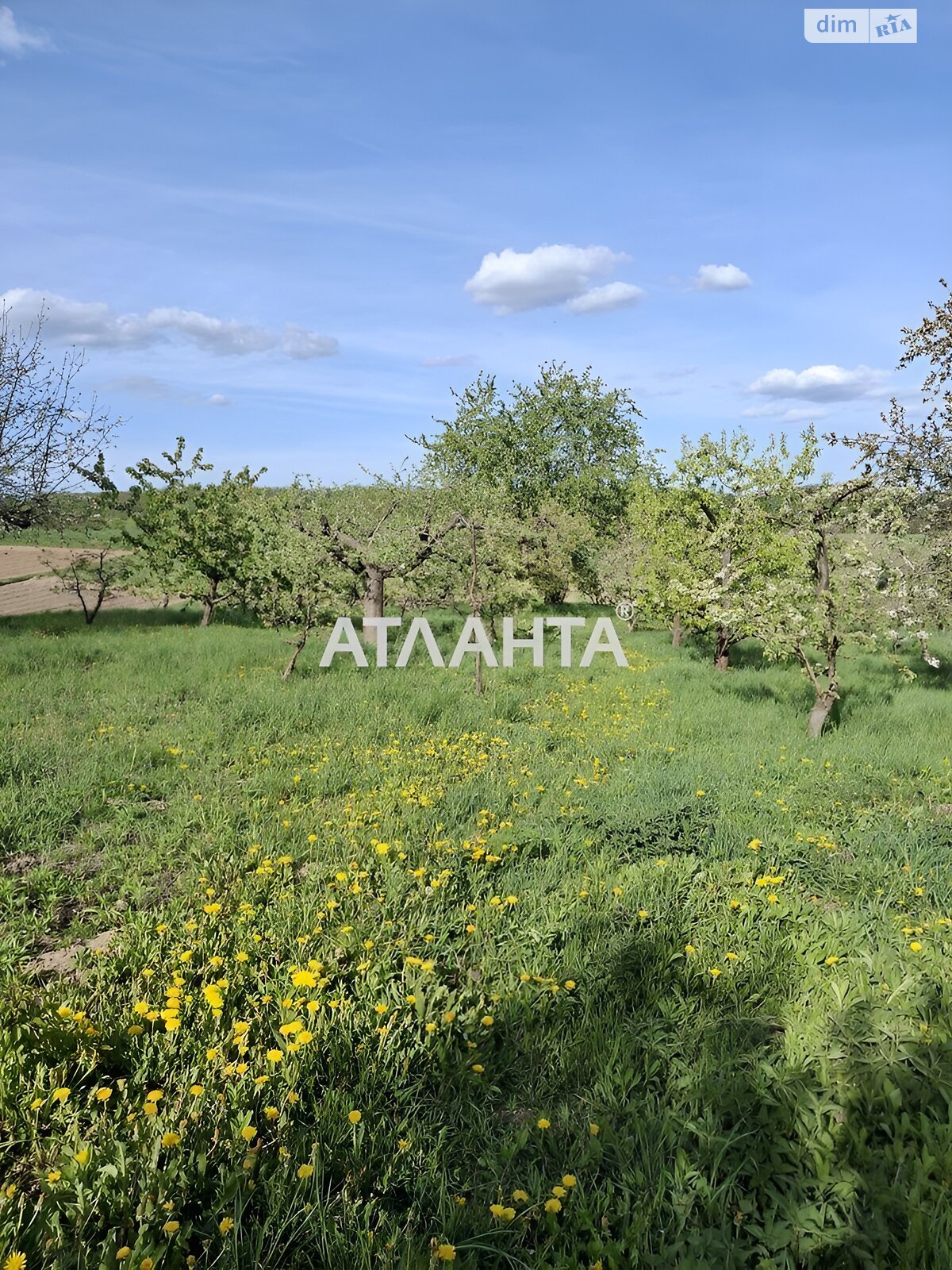 одноэтажный дом беседка, 150 кв. м, кирпич. Продажа в Лысогоре фото 1 одноэтажный дом беседка, 150 кв. м, кирпич. Продажа в Лысогоре фото 1