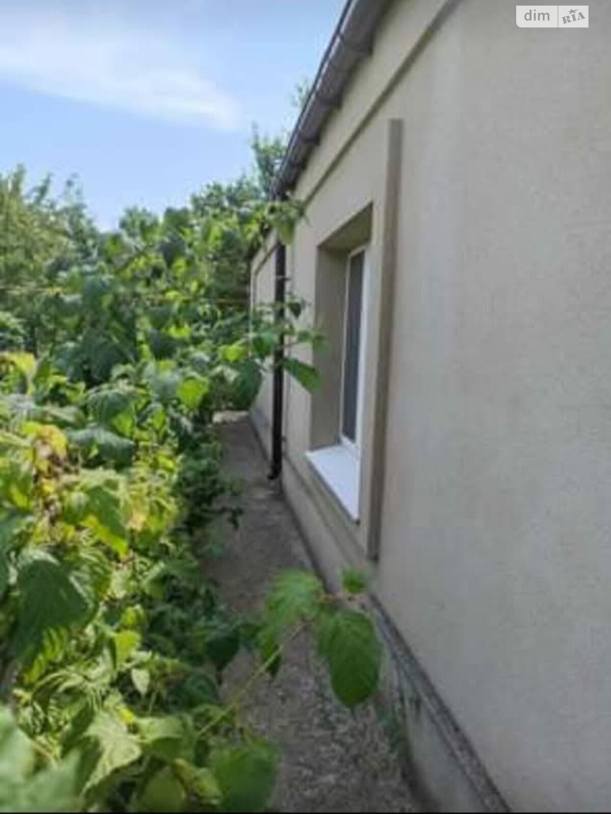 одноповерховий будинок з гаражем, 16 кв. м, цегла. Продаж в Любашівці фото 1 одноповерховий будинок з гаражем, 16 кв. м, цегла. Продаж в Любашівці фото 1