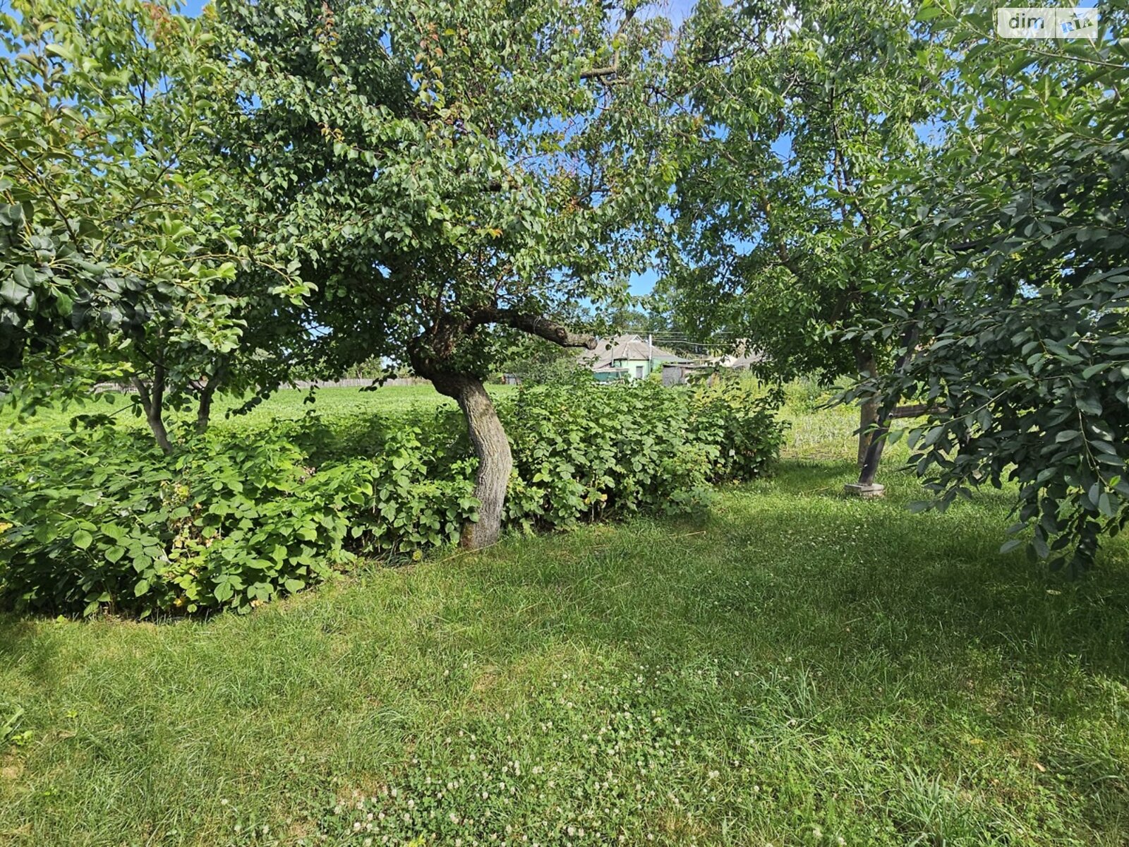 одноповерховий будинок з гаражем, 48.4 кв. м, дерево та цегла. Продаж у Гострій Могилі фото 1