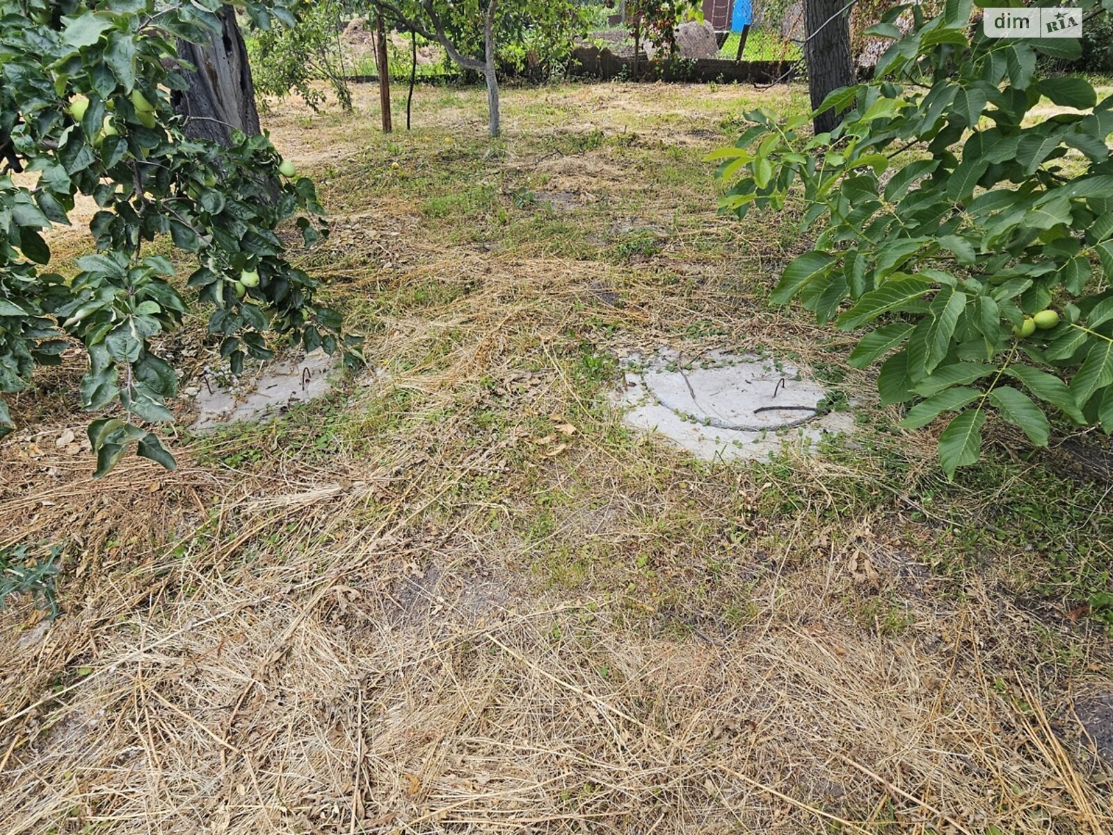 одноповерховий будинок з гаражем, 48.4 кв. м, дерево та цегла. Продаж у Гострій Могилі фото 1