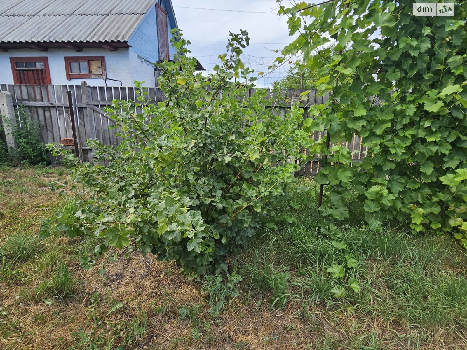 одноповерховий будинок з гаражем, 48.4 кв. м, дерево та цегла. Продаж у Гострій Могилі фото 1