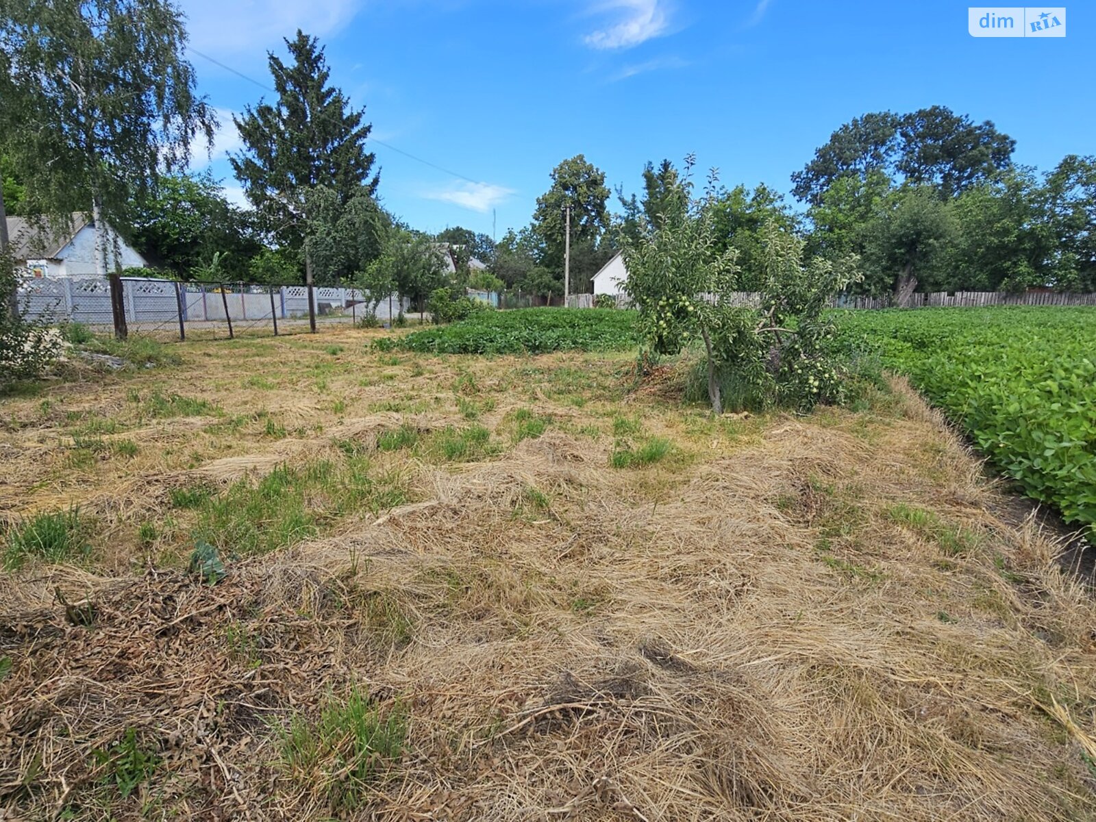 одноповерховий будинок з гаражем, 48.4 кв. м, дерево та цегла. Продаж у Гострій Могилі фото 1