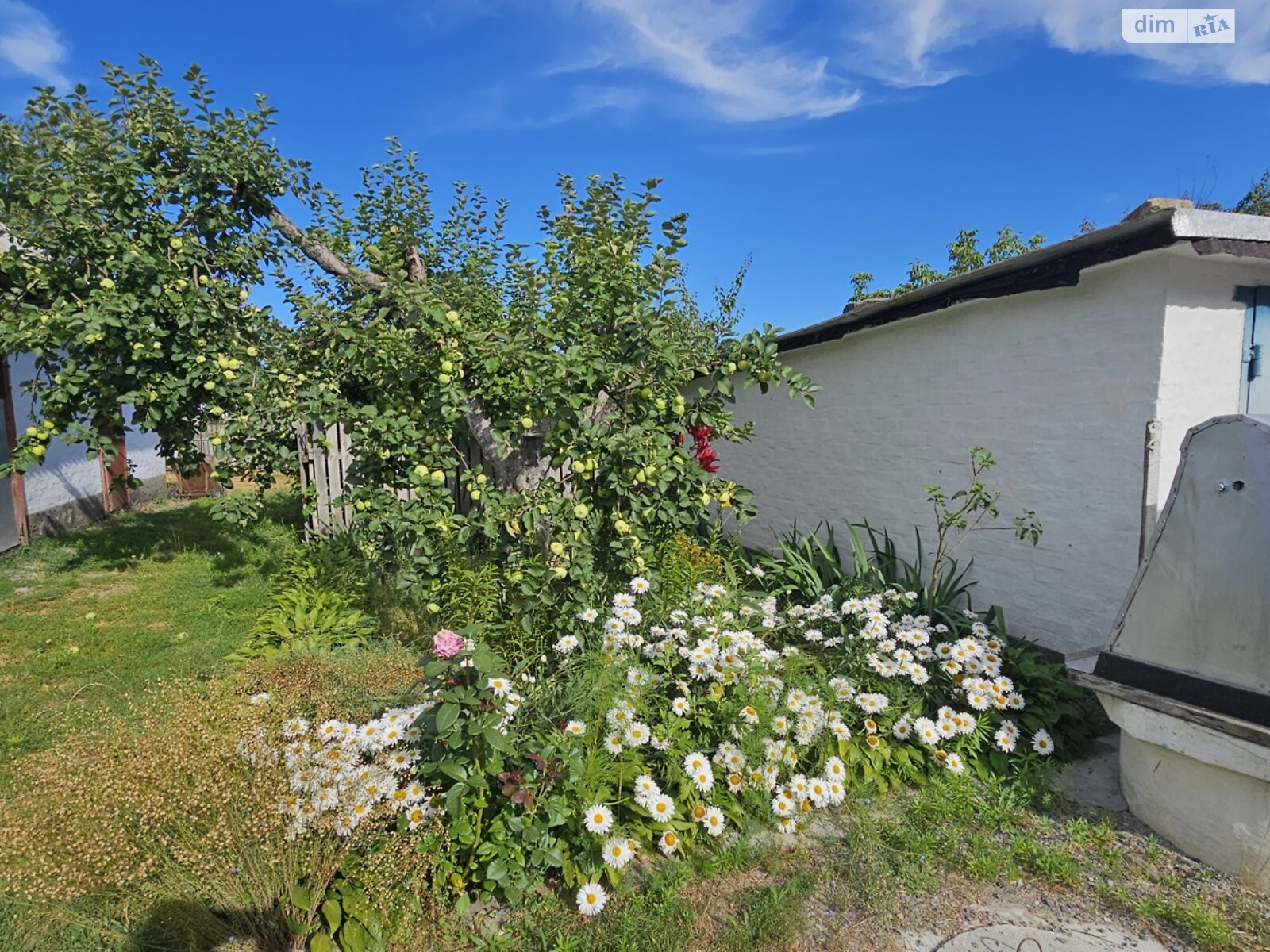 одноповерховий будинок з гаражем, 48.4 кв. м, дерево та цегла. Продаж у Гострій Могилі фото 1