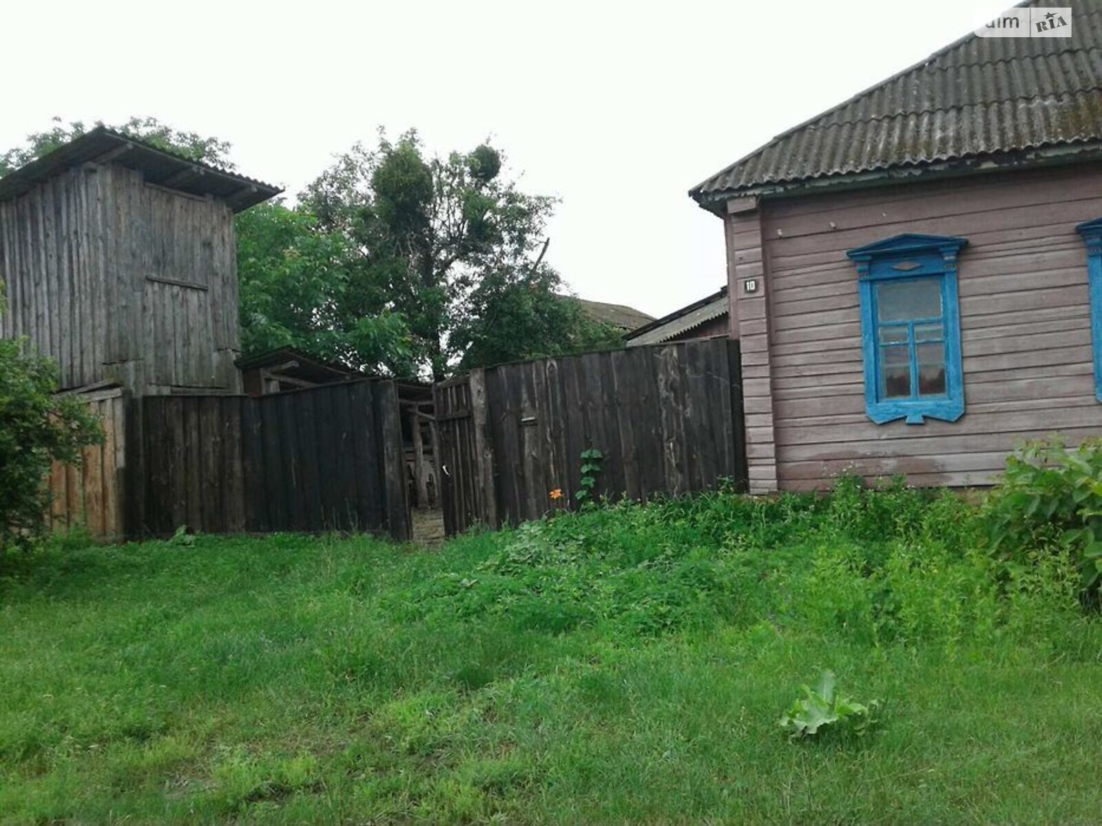 одноповерховий будинок з верандою, 61.8 кв. м, сруб. Продаж у Любечі фото 1 одноповерховий будинок з верандою, 61.8 кв. м, сруб. Продаж у Любечі фото 1