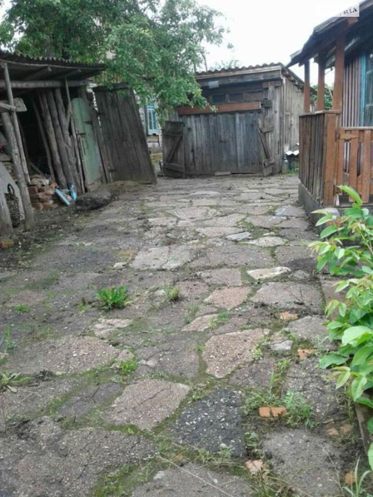 одноповерховий будинок з верандою, 61.8 кв. м, сруб. Продаж у Любечі фото 1 одноповерховий будинок з верандою, 61.8 кв. м, сруб. Продаж у Любечі фото 1