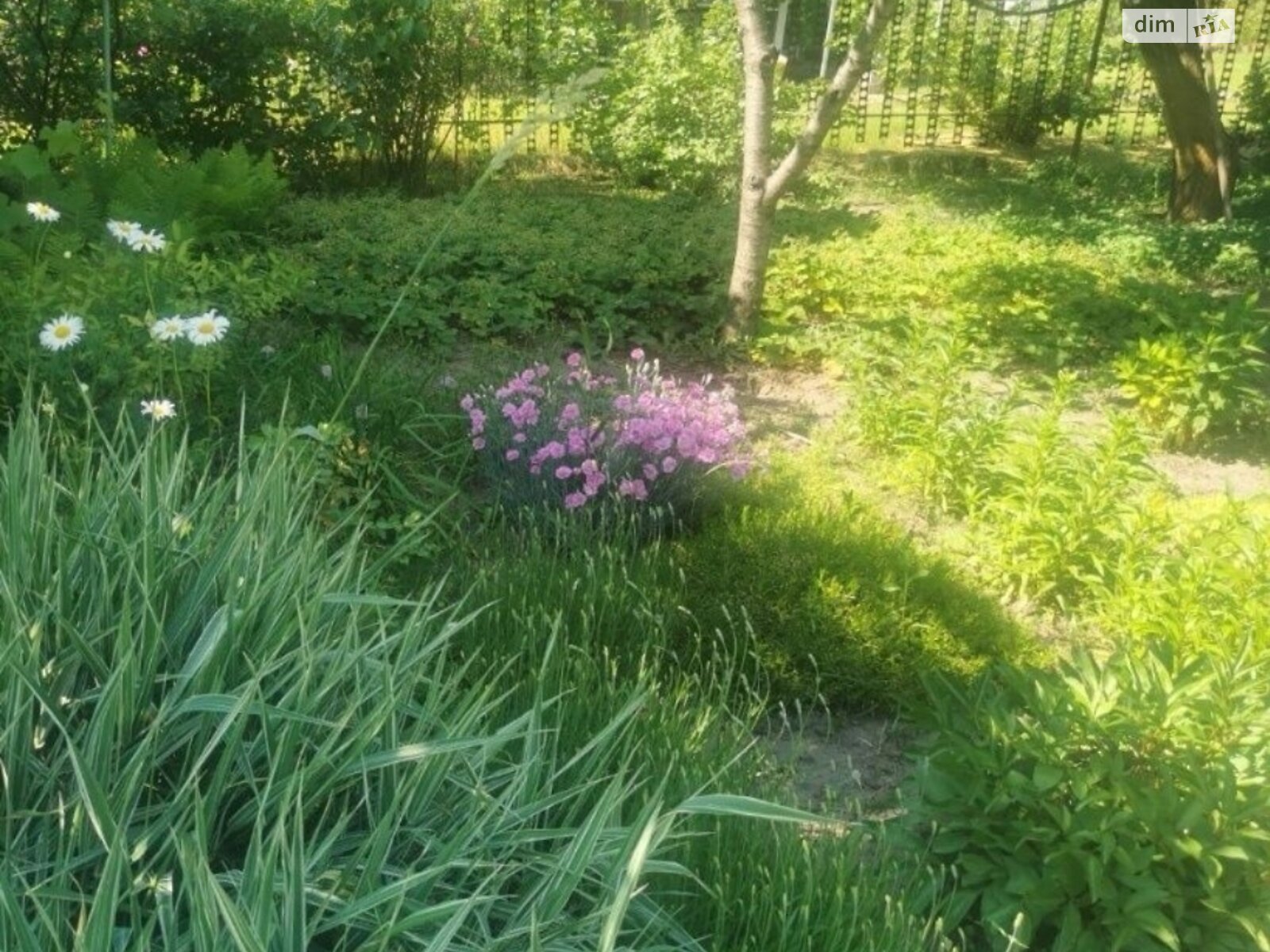 двоповерховий будинок з верандою, 60 кв. м, кирпич. Продаж у Любимівці фото 1 двоповерховий будинок з верандою, 60 кв. м, кирпич. Продаж у Любимівці фото 1