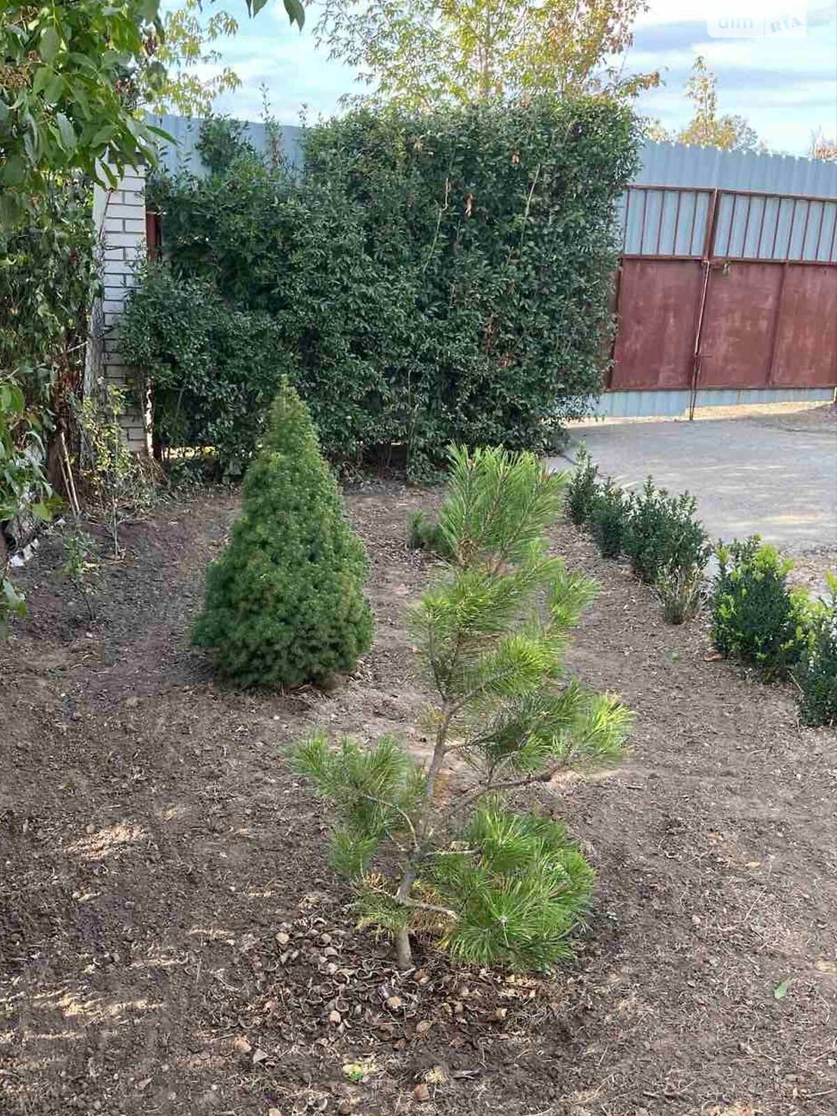 одноповерховий будинок бесідка, 55 кв. м, піноблок. Продаж у Любимівці фото 1