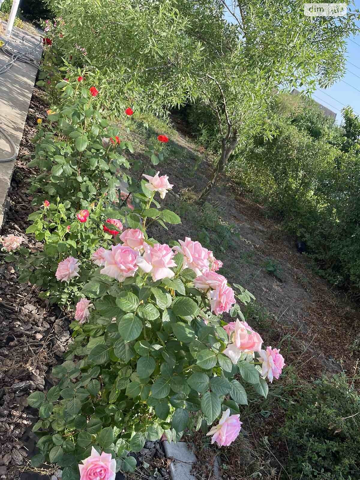 одноповерховий будинок бесідка, 55 кв. м, піноблок. Продаж у Любимівці фото 1