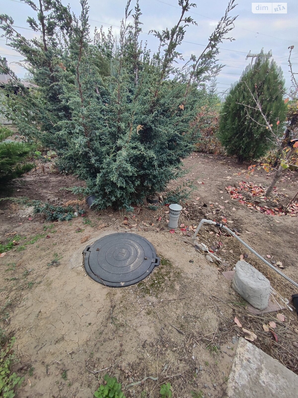 одноповерховий будинок бесідка, 55 кв. м, піноблок. Продаж у Любимівці фото 1