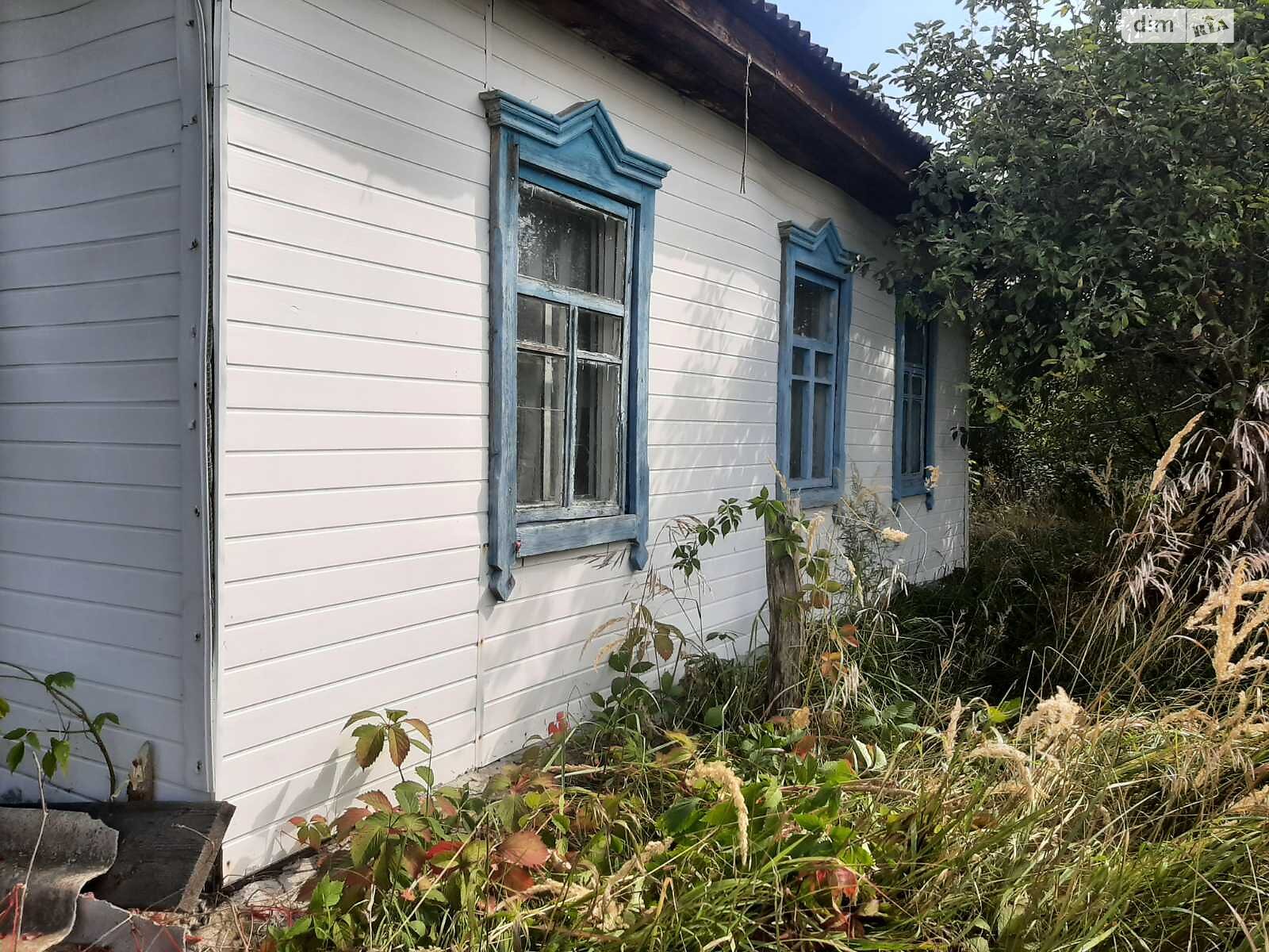 одноповерховий будинок, 77.9 кв. м, дерево та цегла. Продаж у Любимівці фото 1 одноповерховий будинок, 77.9 кв. м, дерево та цегла. Продаж у Любимівці фото 1