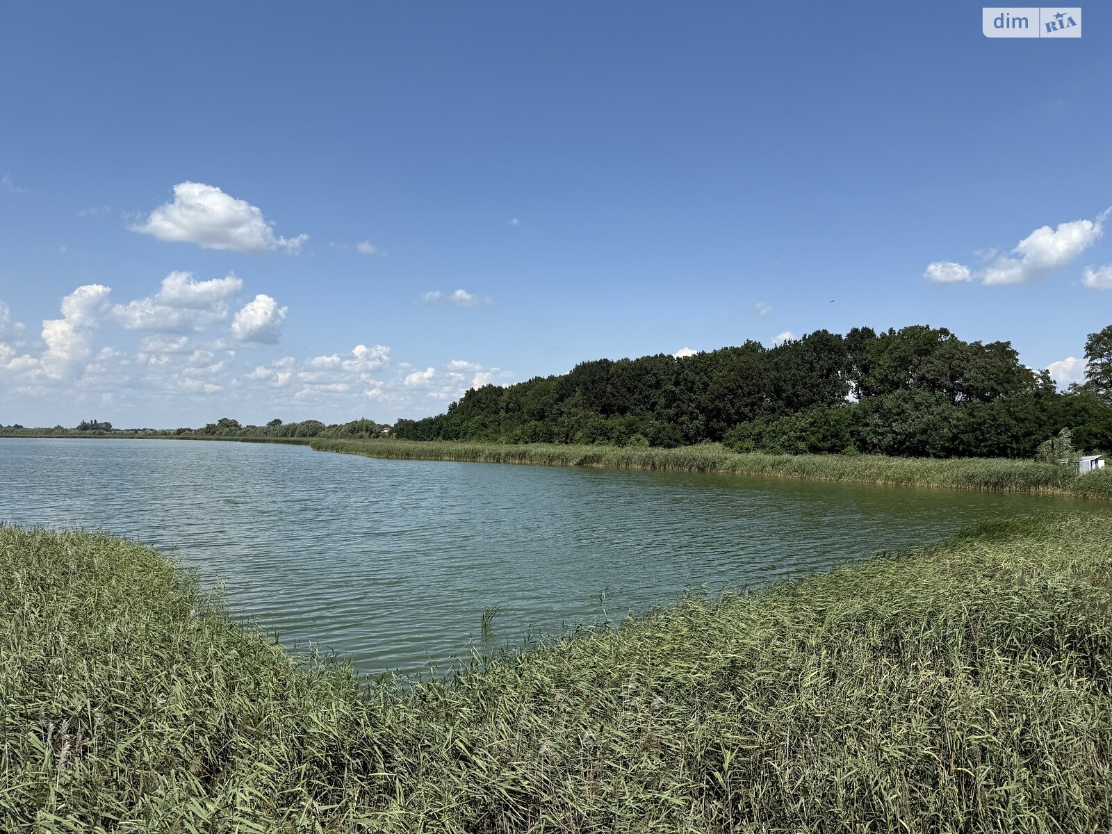 одноповерховий будинок з опаленням, 67.4 кв. м, цегла. Продаж у Право Жовтня (нов. Любомирівці) фото 1 одноповерховий будинок з опаленням, 67.4 кв. м, цегла. Продаж у Право Жовтня (нов. Любомирівці) фото 1