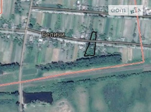 одноэтажный дом с садом, 1000 кв. м, кирпич. Продажа в Любомле фото 1 одноэтажный дом с садом, 1000 кв. м, кирпич. Продажа в Любомле фото 1