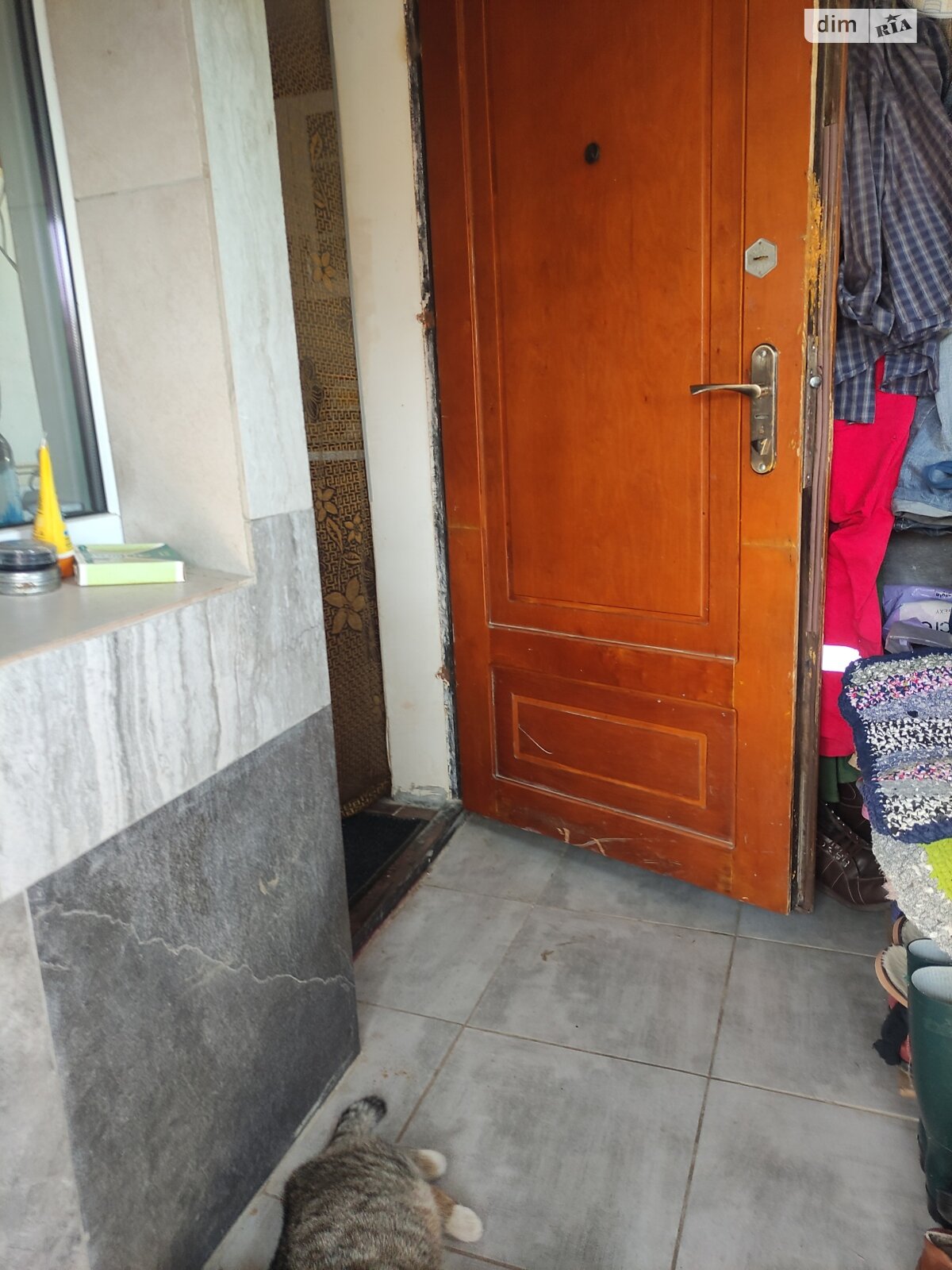 одноповерховий будинок бесідка, 28 кв. м, ракушняк. Продаж у Любополі фото 1