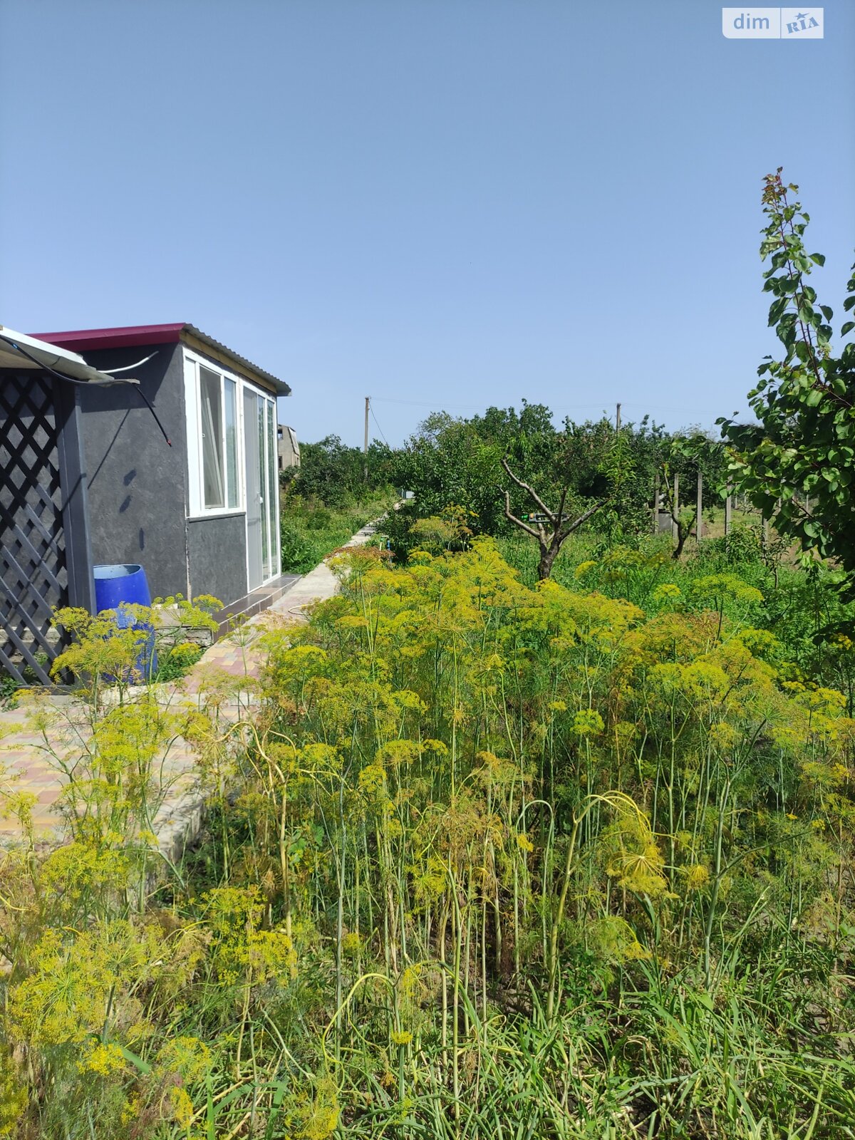 одноповерховий будинок бесідка, 28 кв. м, ракушняк. Продаж у Любополі фото 1