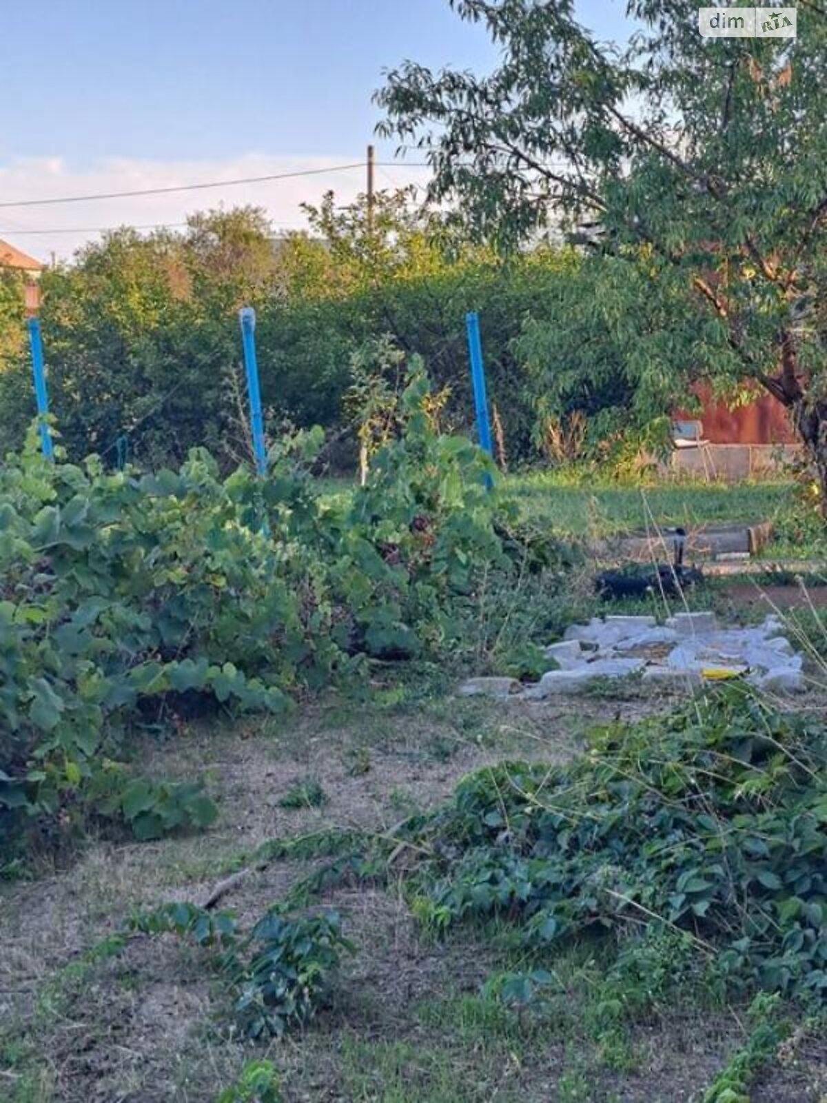 одноэтажный дом, 60 кв. м, газобетон. Продажа в Любополе фото 1 одноэтажный дом, 60 кв. м, газобетон. Продажа в Любополе фото 1