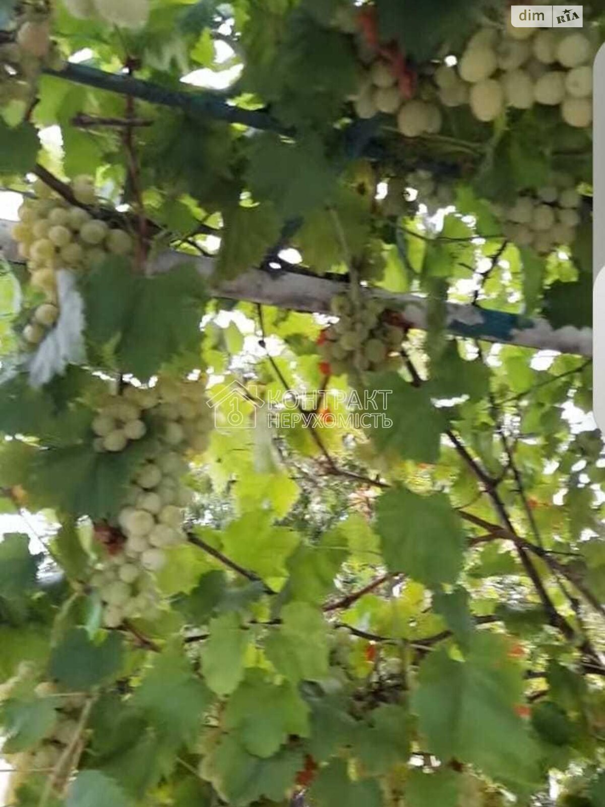 одноэтажный дом, 75 кв. м, кирпич. Продажа в Люботине фото 1 одноэтажный дом, 75 кв. м, кирпич. Продажа в Люботине фото 1