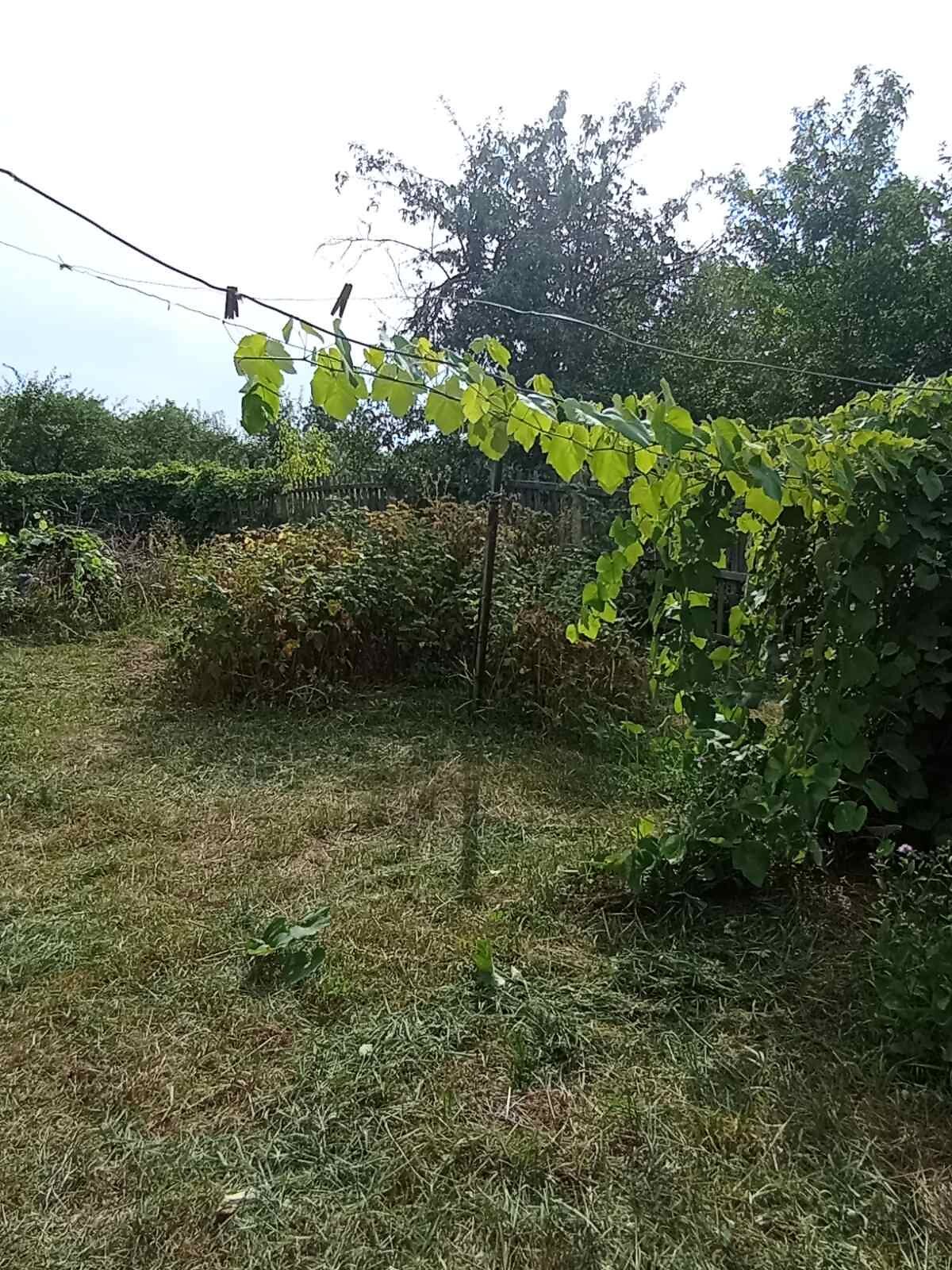 одноповерховий будинок, 63.8 кв. м, цегла. Продаж в Люботині, район Люботин фото 1