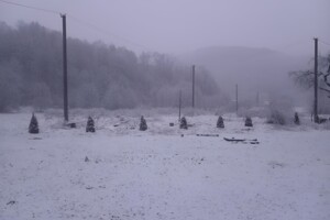 двоповерховий будинок, 80 кв. м, сруб. Продаж у Люча фото 2